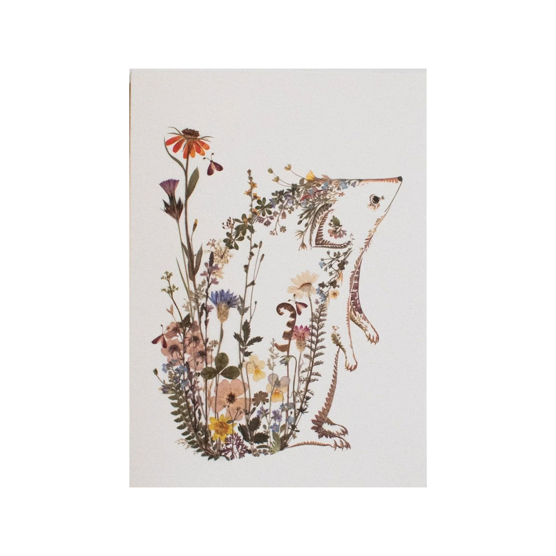 Wild hedgehog greetings card