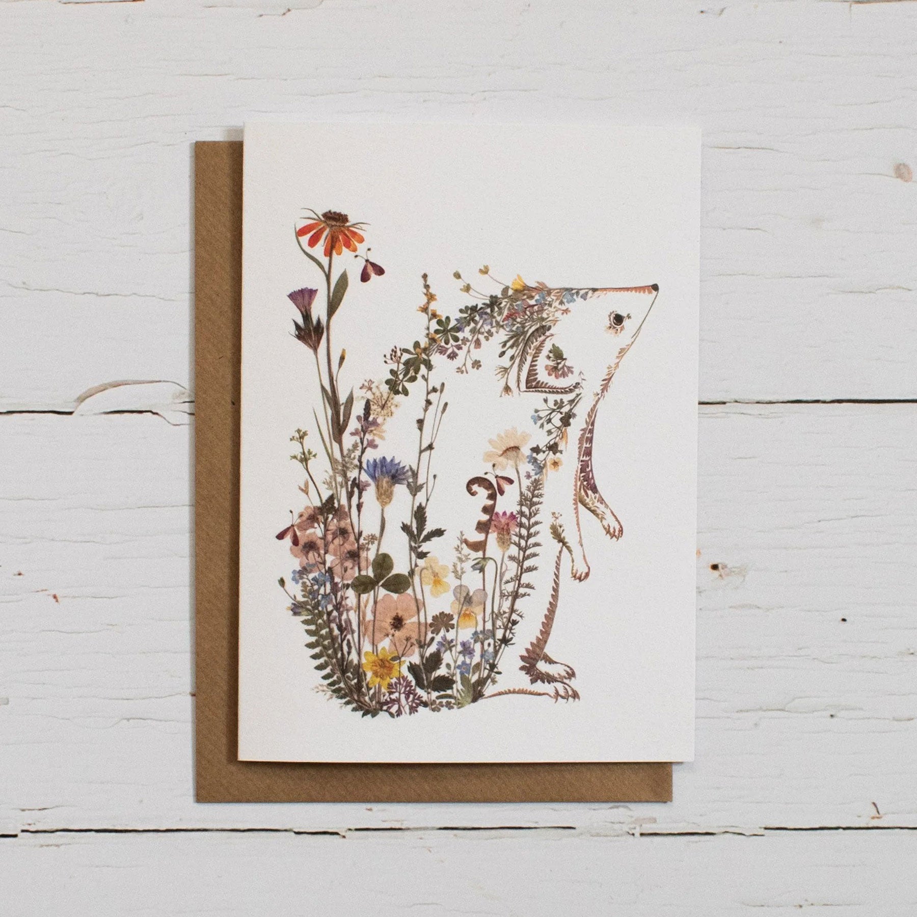 Wild hedgehog greetings card