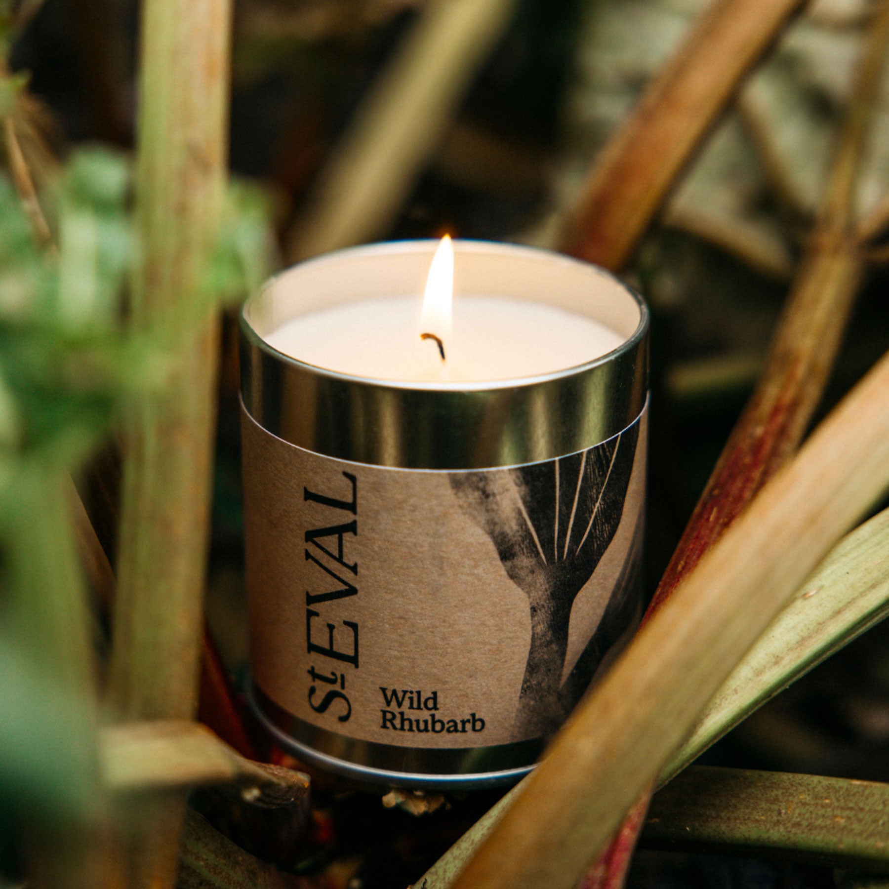 Wild rhubarb scented tin candle