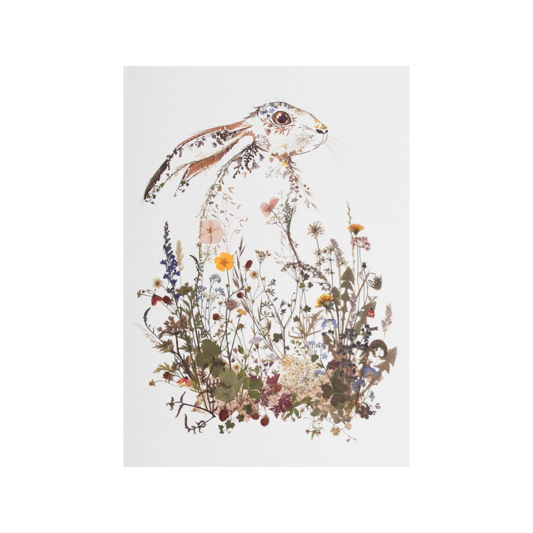 Wildflower hare greetings card