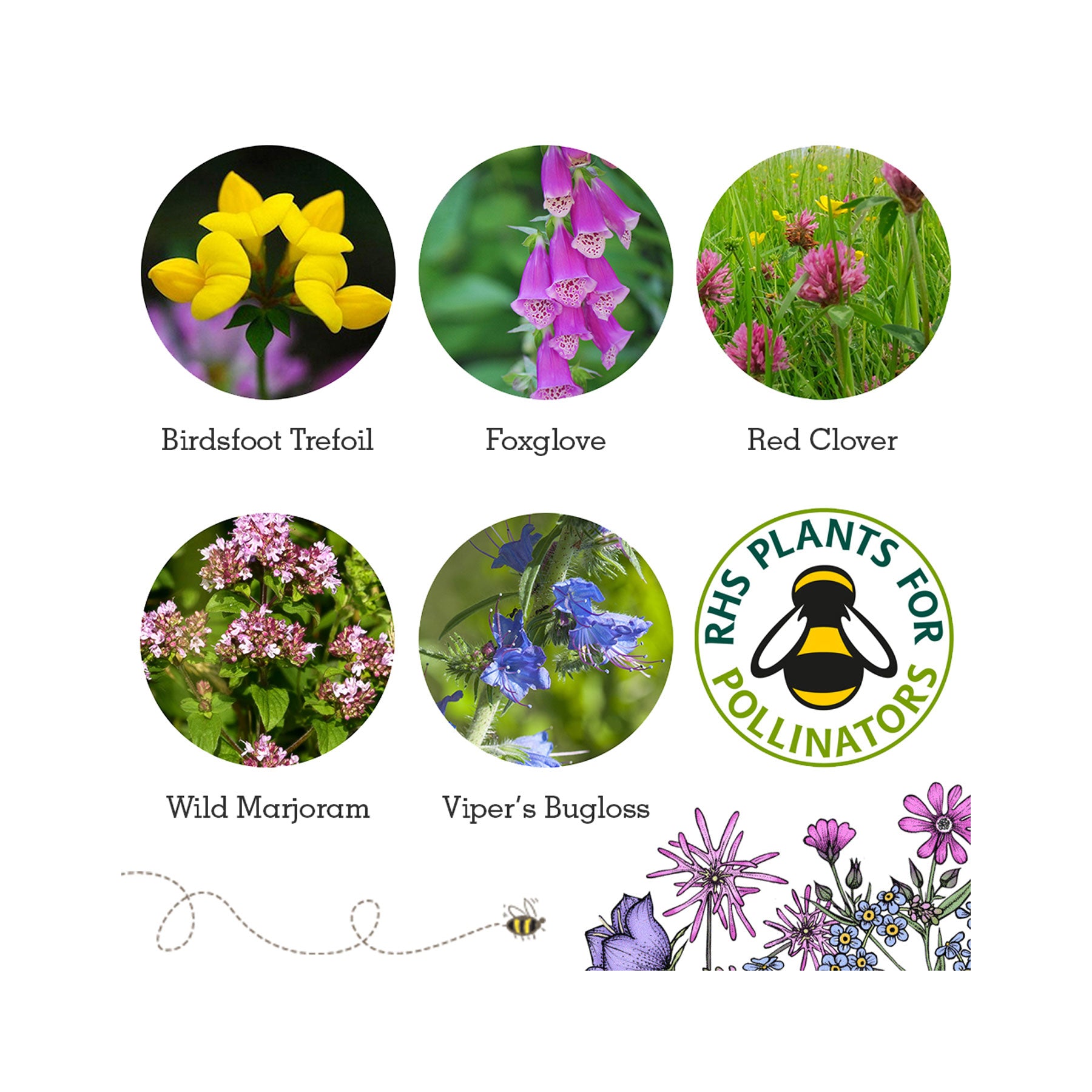 Wildlife seed box collection