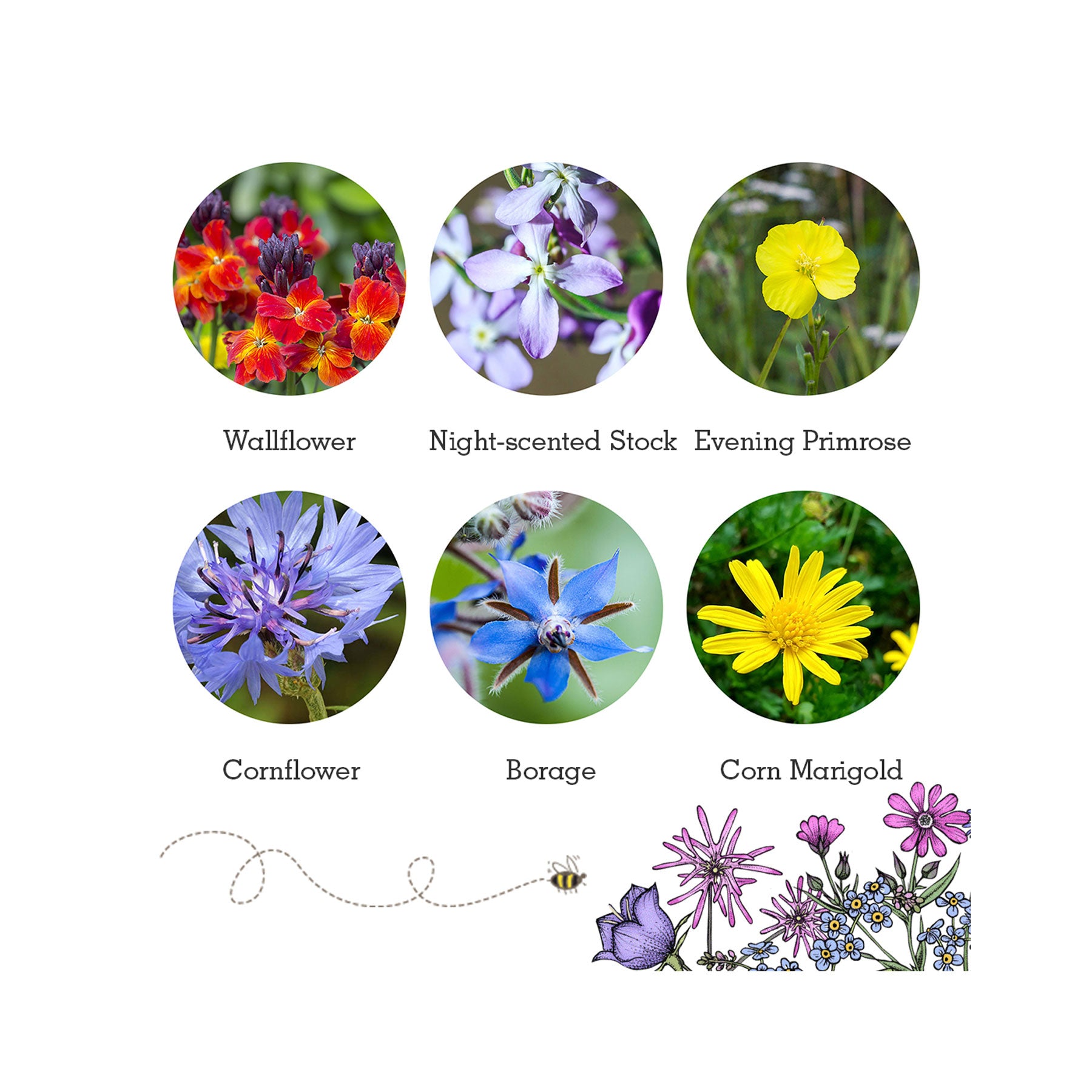 Wildlife seed box collection