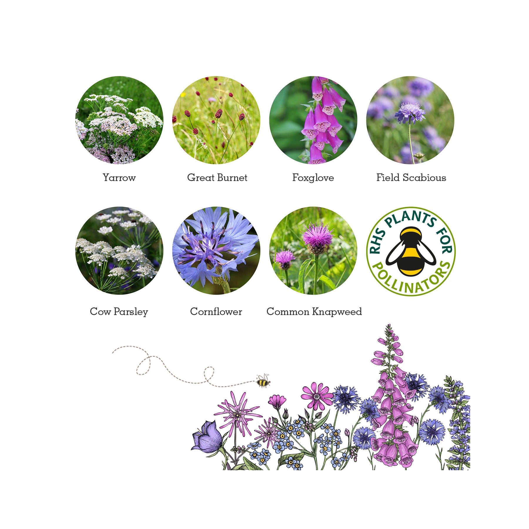 Wildlife seed box collection