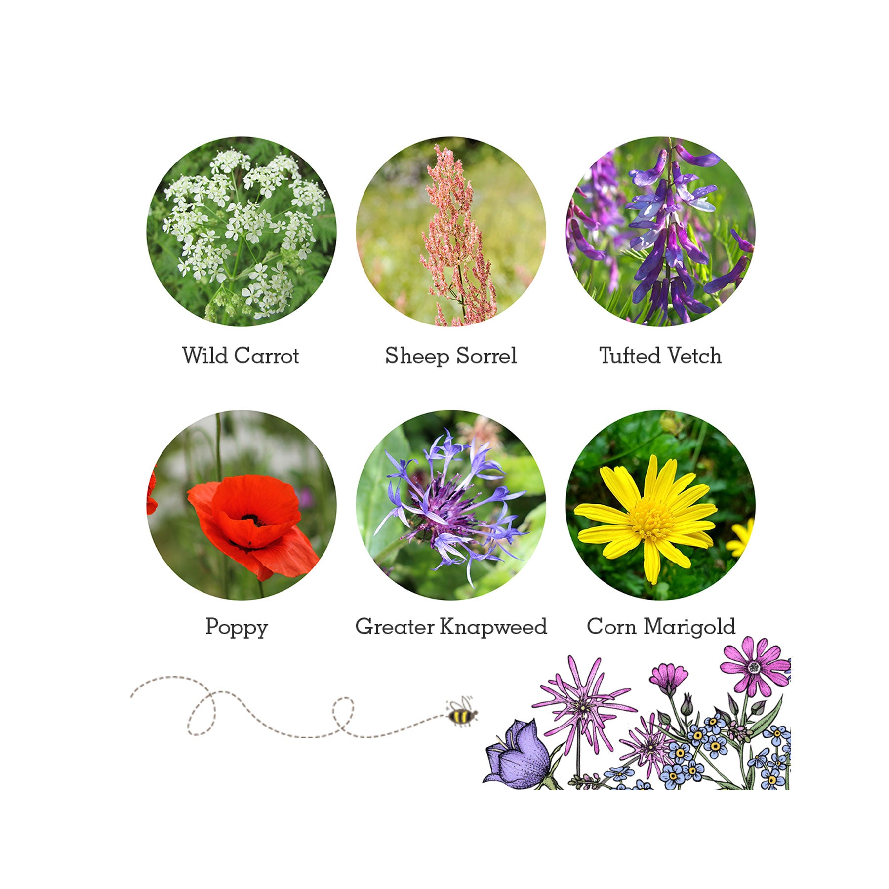 Wildlife seed box collection