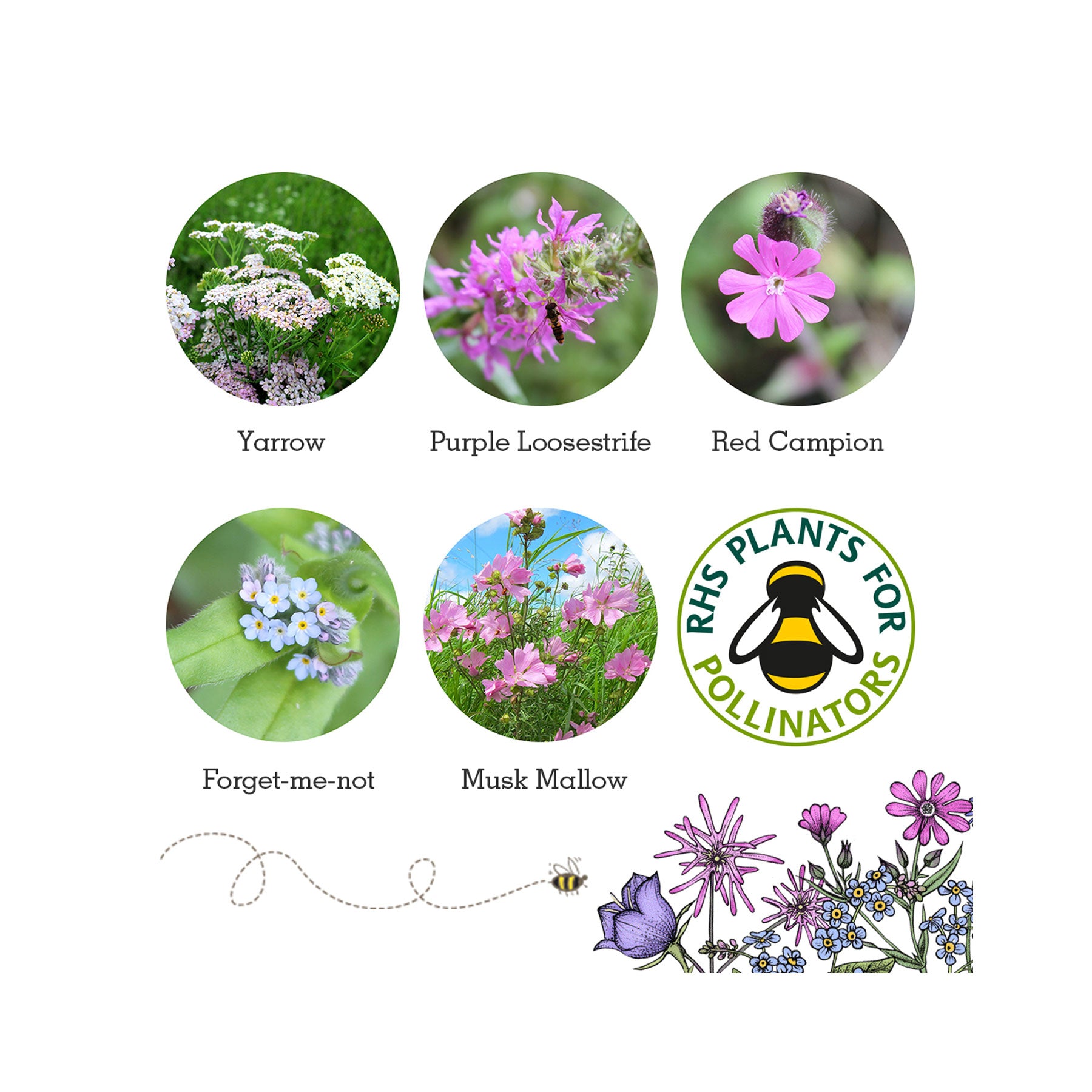 Wildlife seed box collection