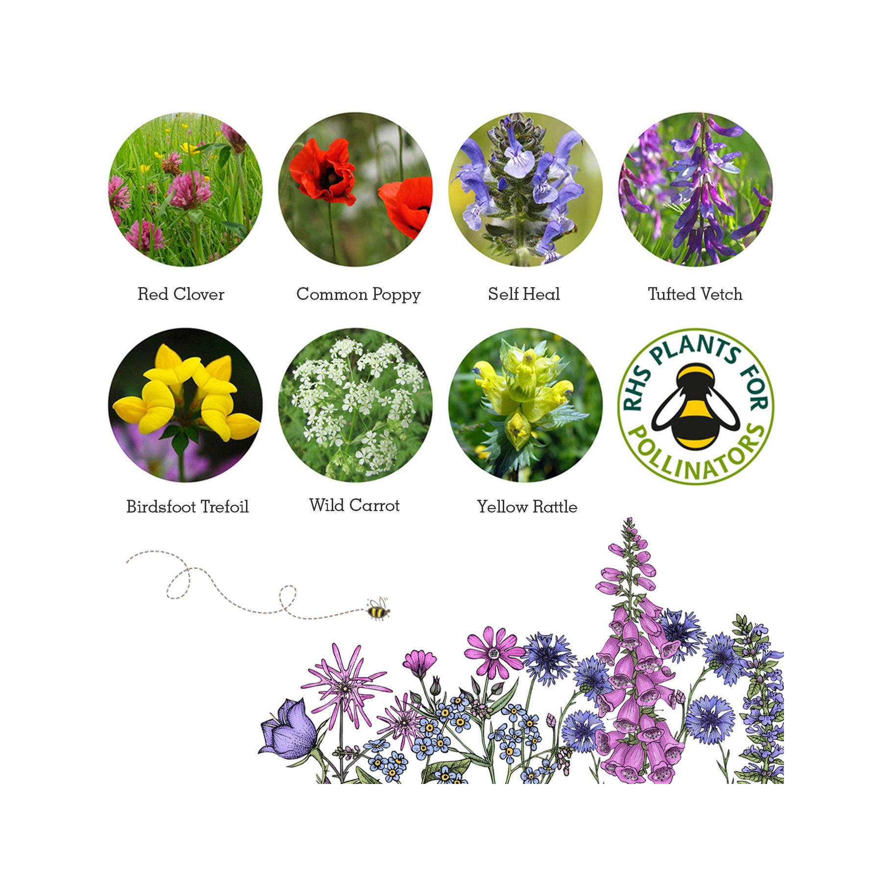 Wildlife seed box collection