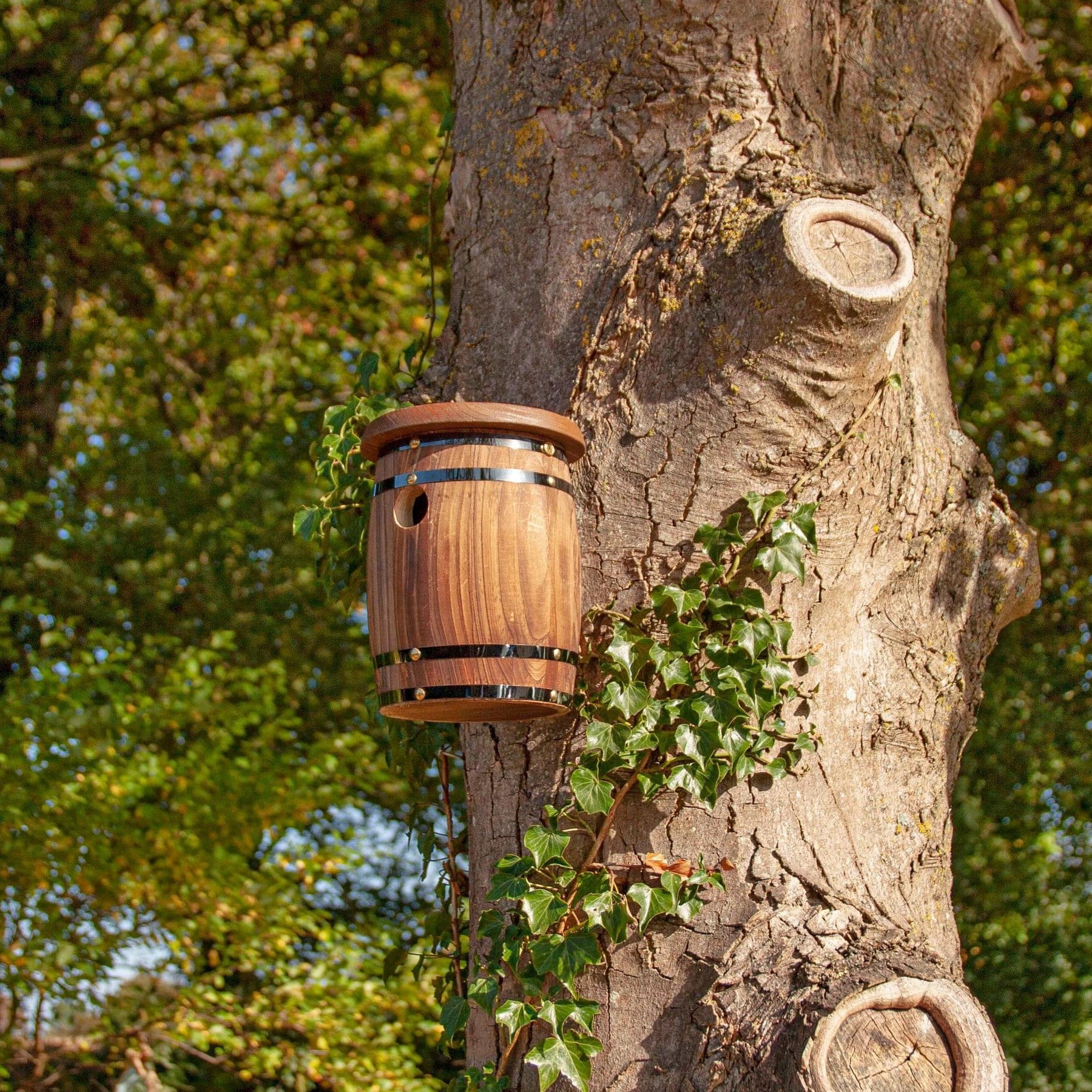 Wooden birdhouse attached to a tree trunk with ivy climbing up one side, set against a backdrop of green foliage and a clear blue sky.