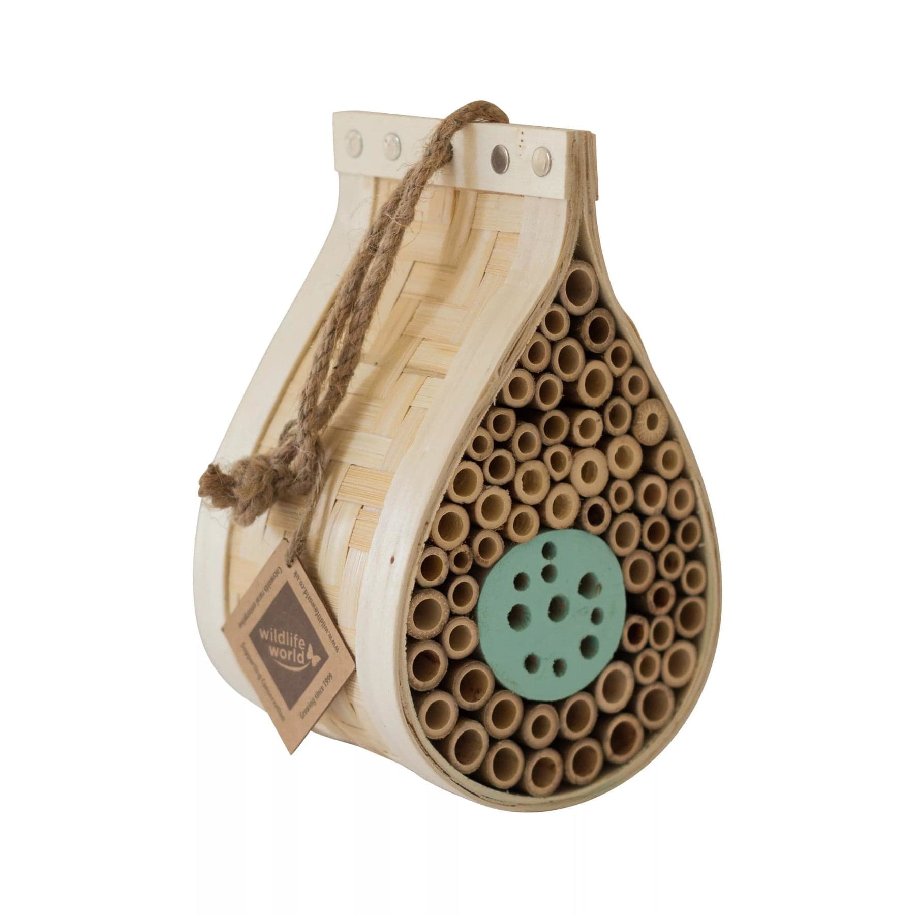 Wooden insect house, bee hotel with bamboo tubes, natural rope hanger, nesting habitat for garden pollinators, eco-friendly wildlife conservation shelter, isolated on white background.