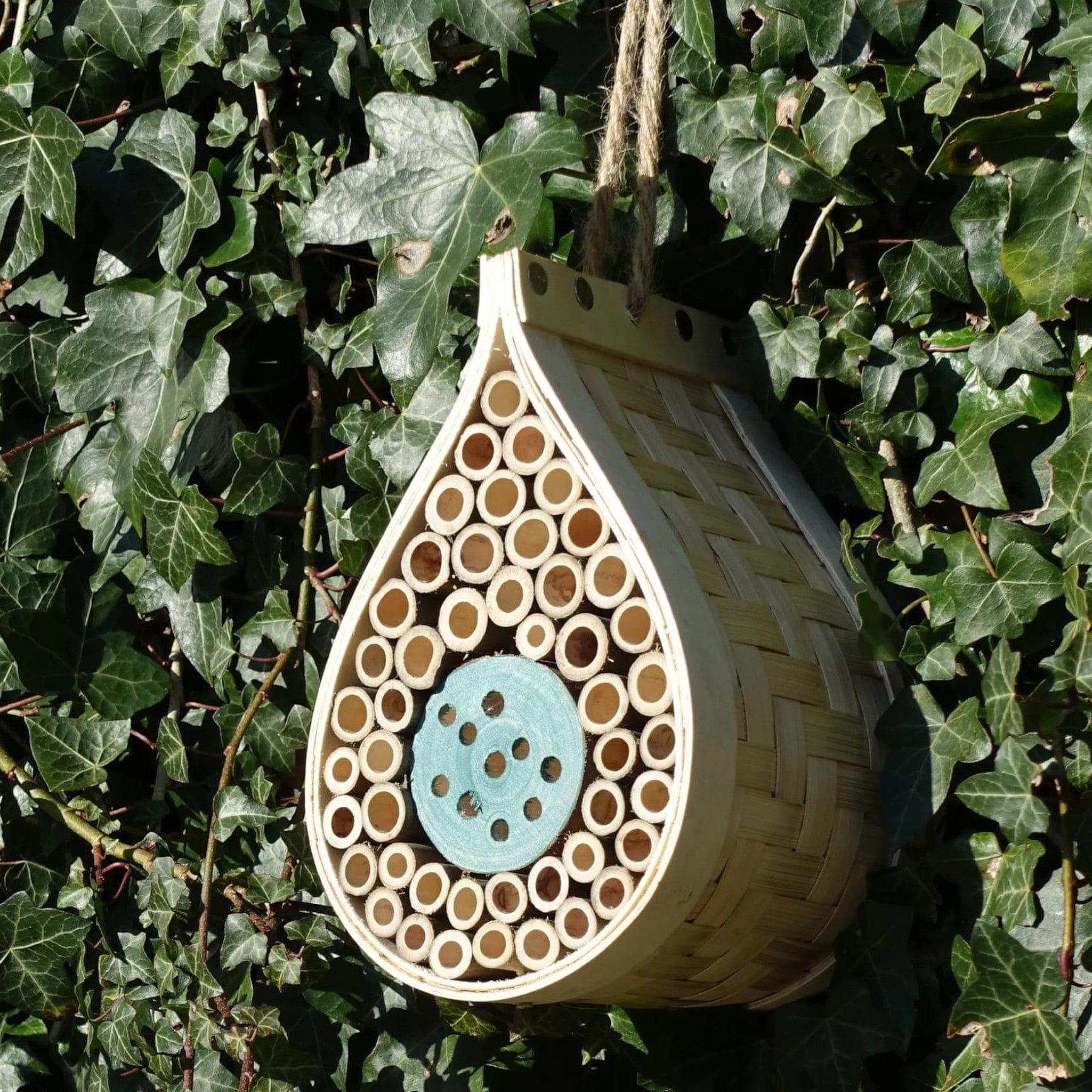 Wooden bee hotel hanging from a rope against an ivy-covered wall, providing nesting habitat for solitary bees in a garden environment