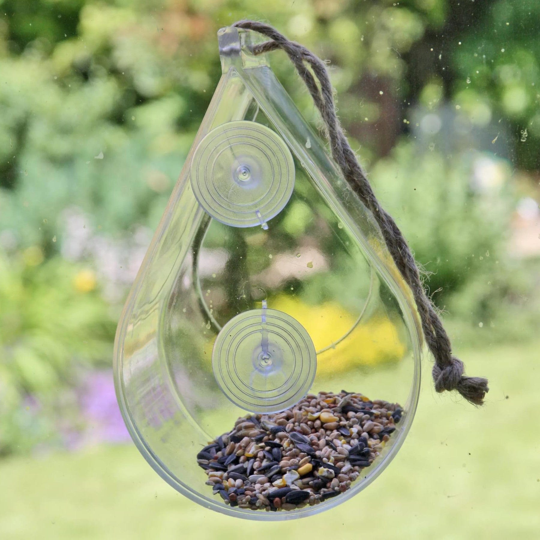 Dewdrop bird window feeder