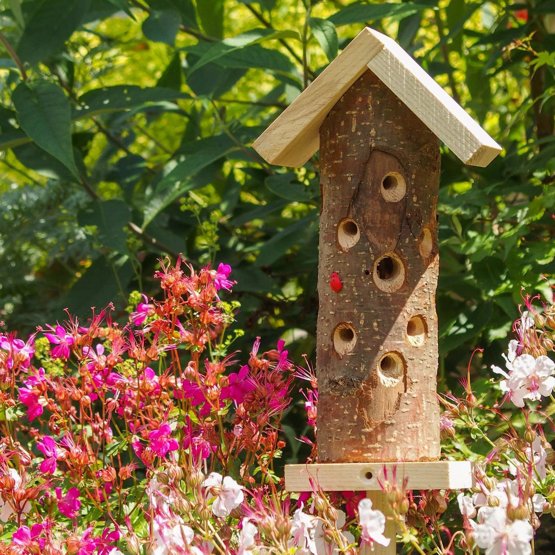 Rustic wooden birdhouse with multiple entrance holes surrounded by vibrant pink and white flowers in a lush garden setting