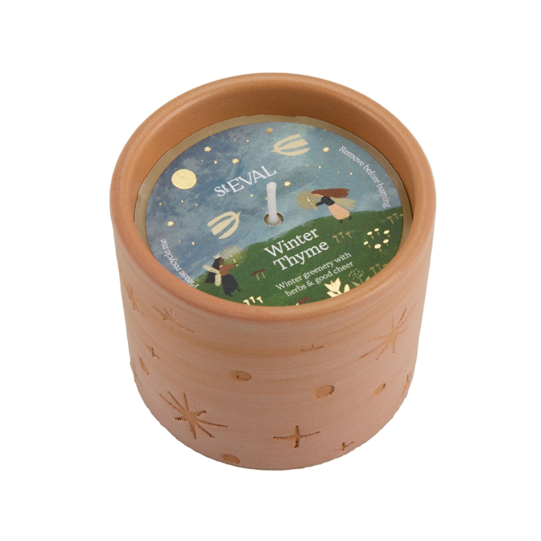 Winter thyme star gazy pot