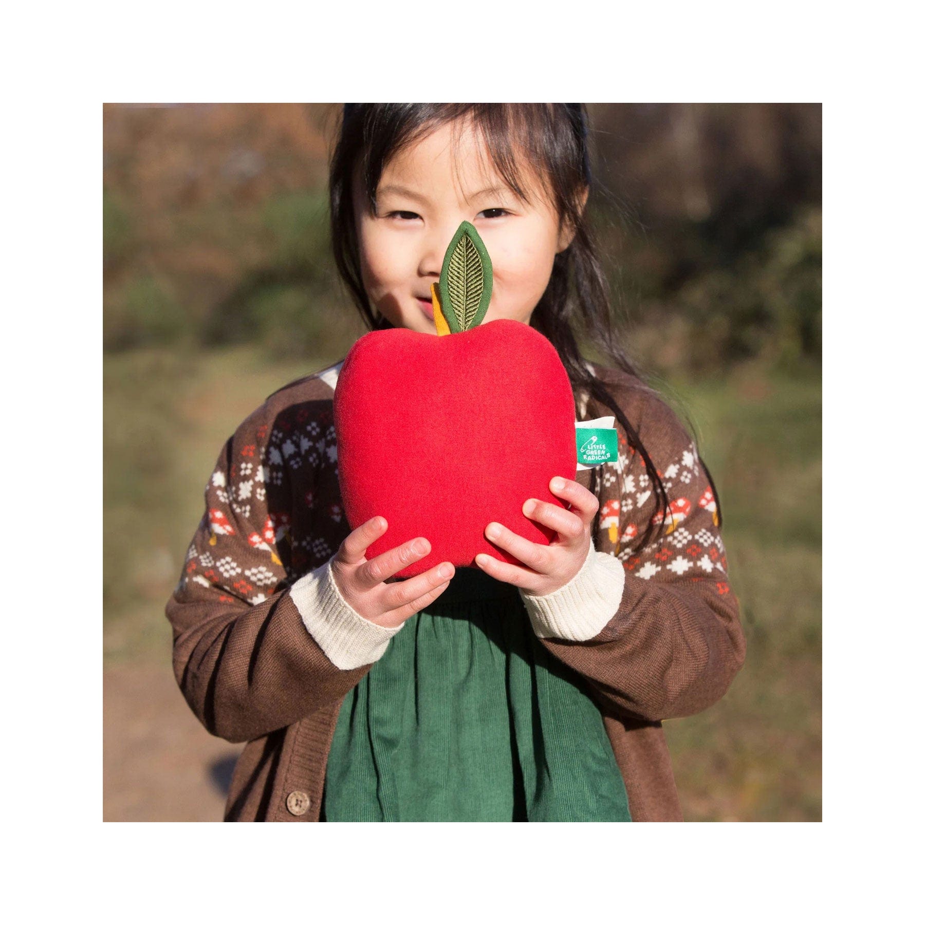 An apple a day soft toy