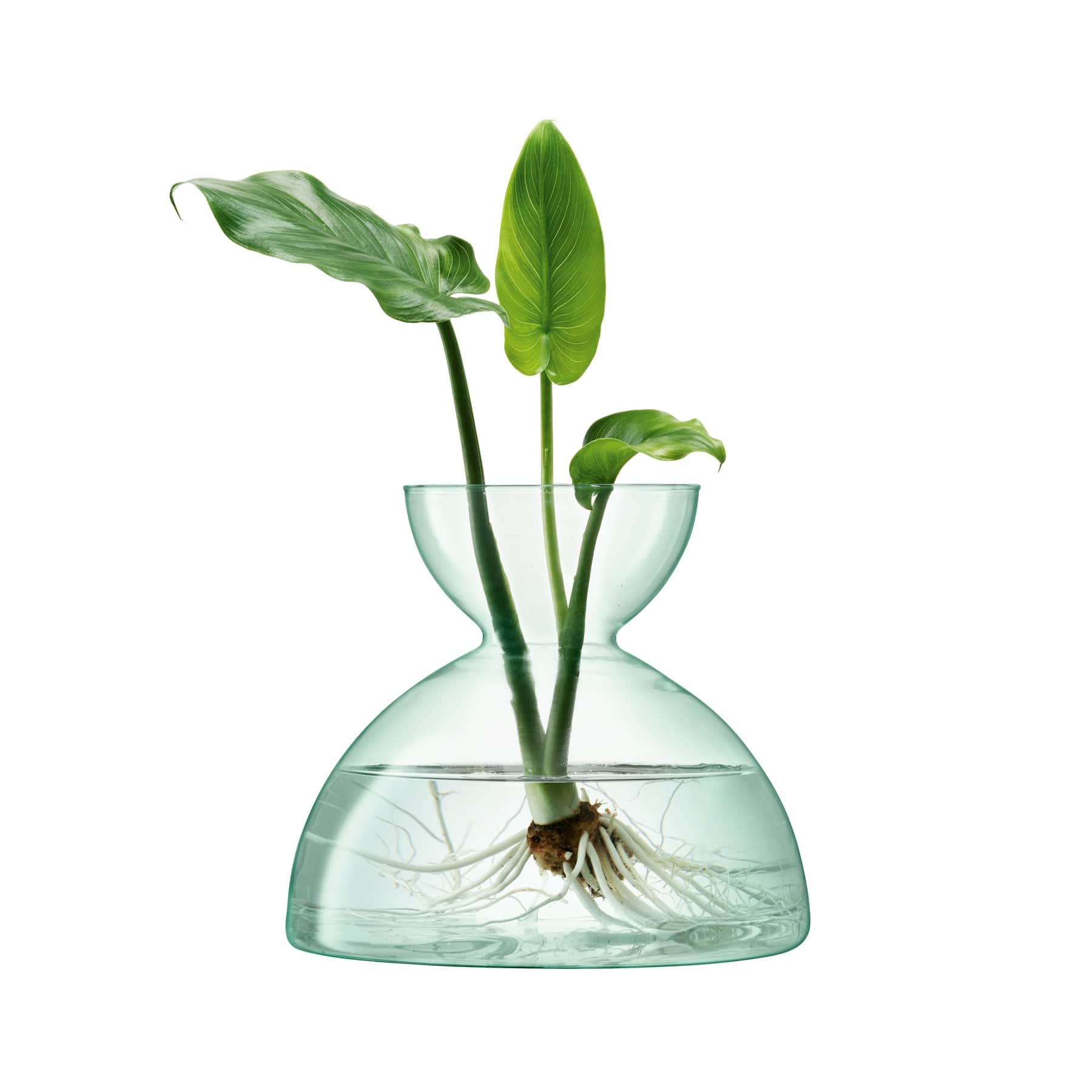 Canopy vase H18cm