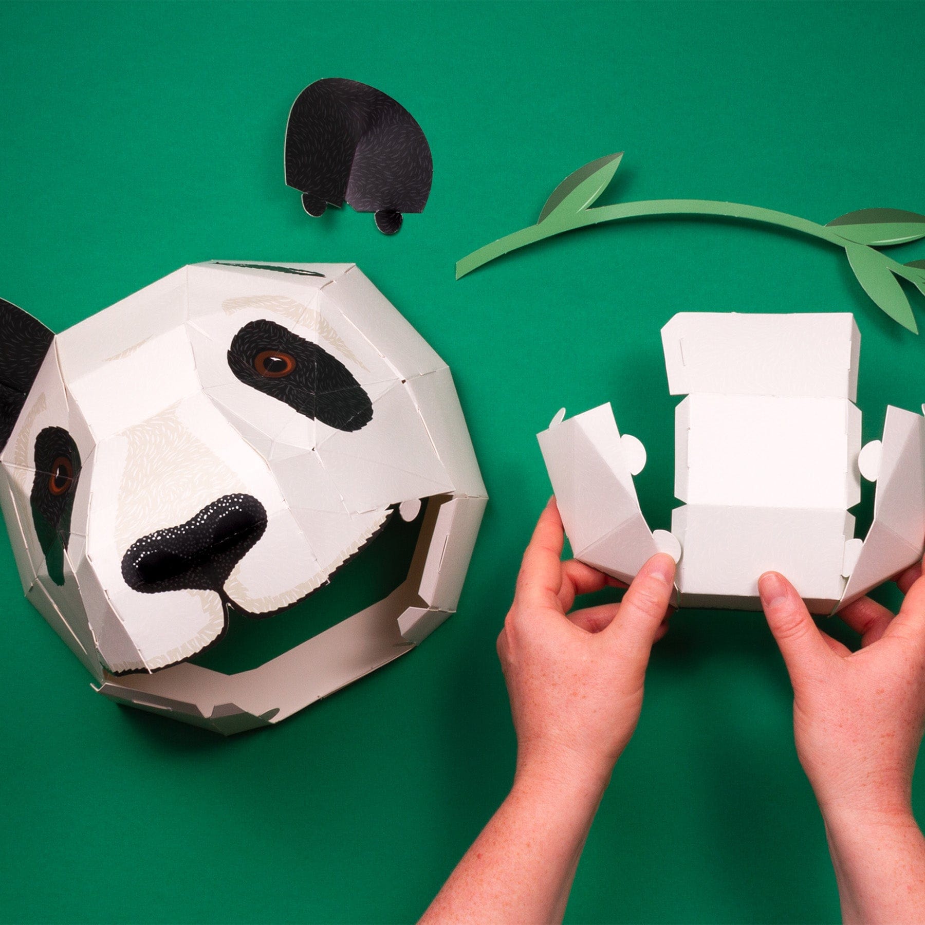 Create your own giant panda head