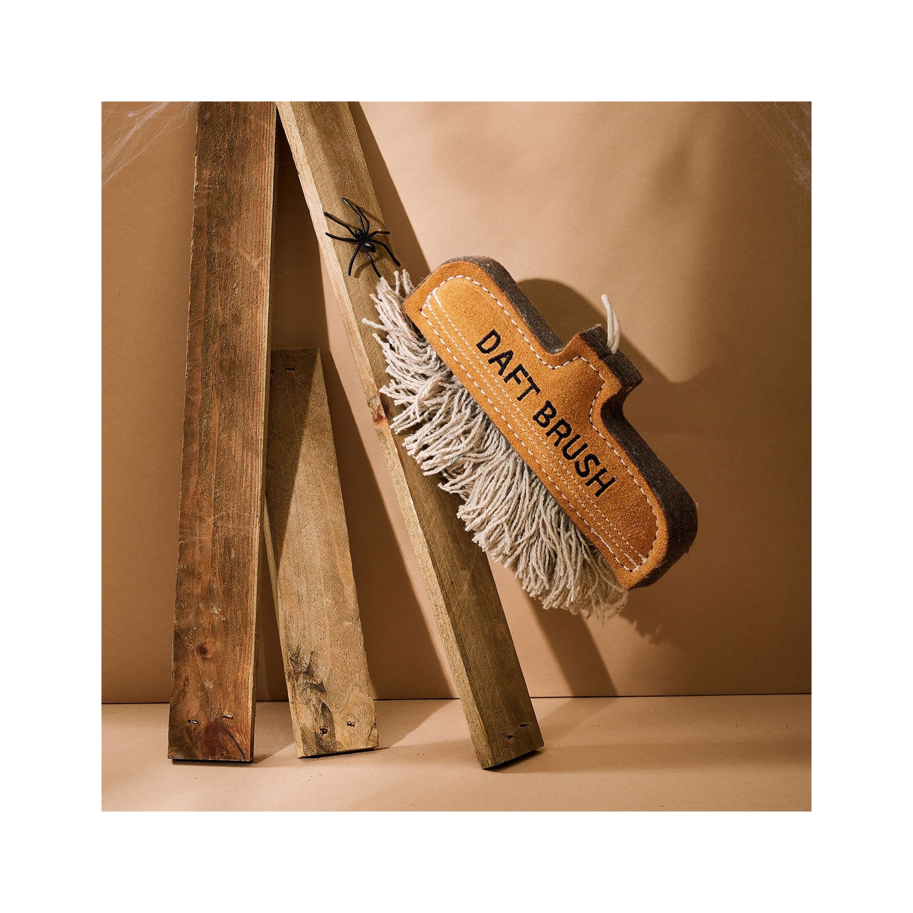 Daft brush eco pet toy