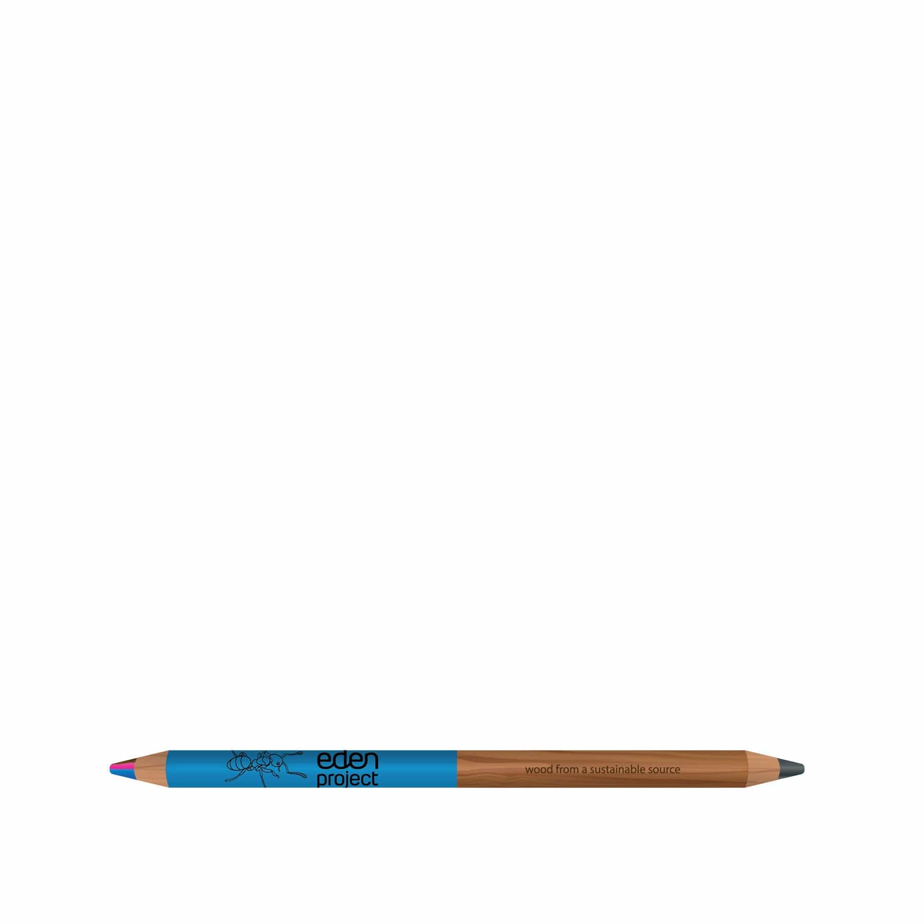 Ant duo pencil