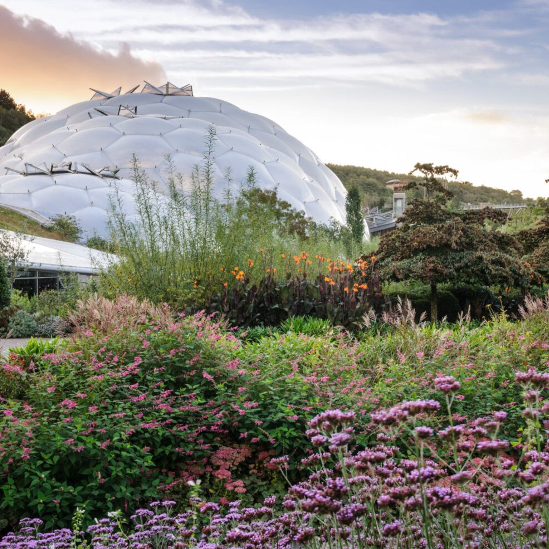 Geodesic dome amidst lush garden, biodome ecological architecture, vibrant flowering plants and greenery, sustainable living concept, tranquil nature scene at dusk.