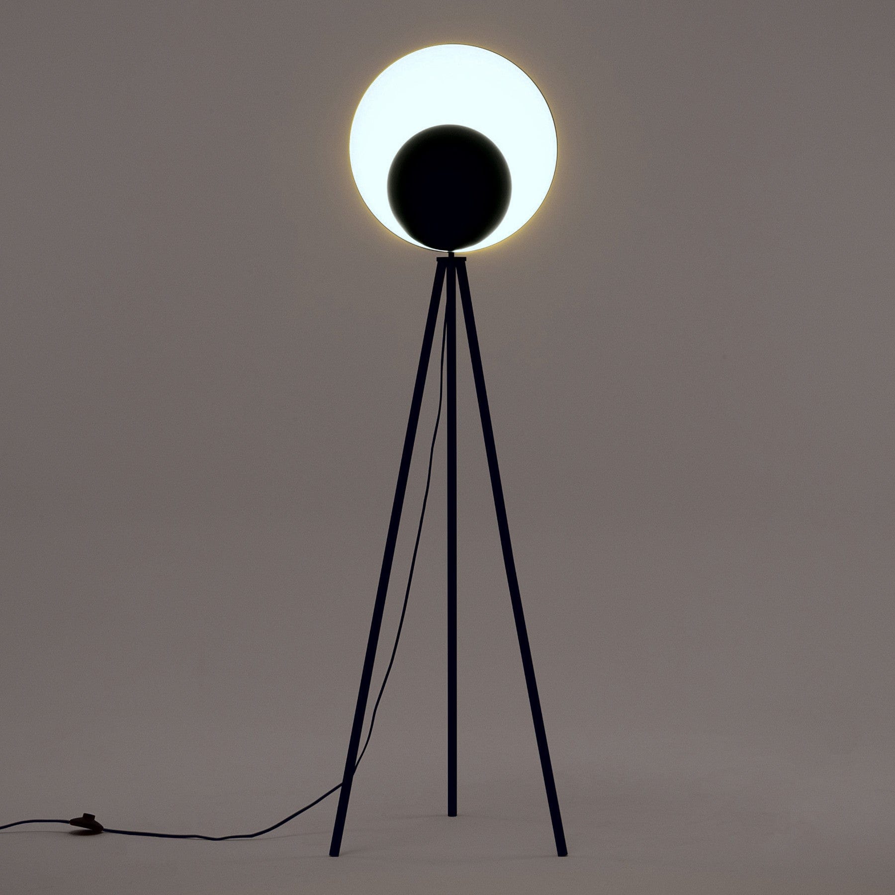 Diffuser floor lamp