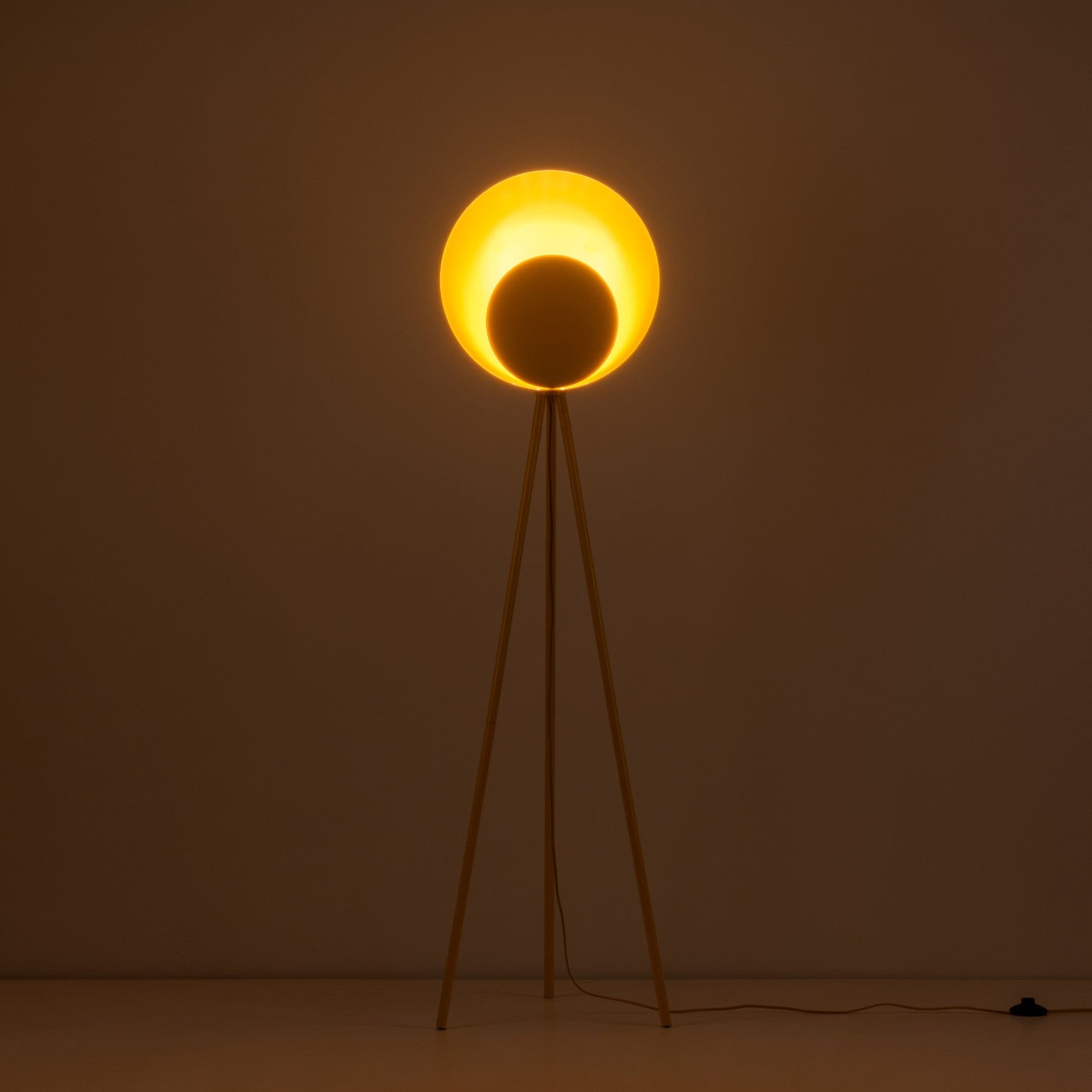 Diffuser floor lamp