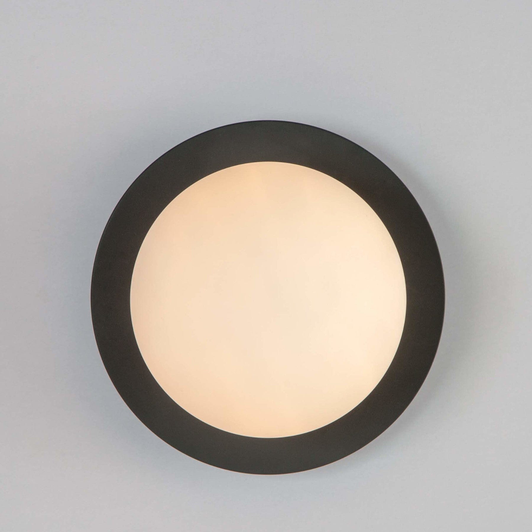 Opal disk wall light