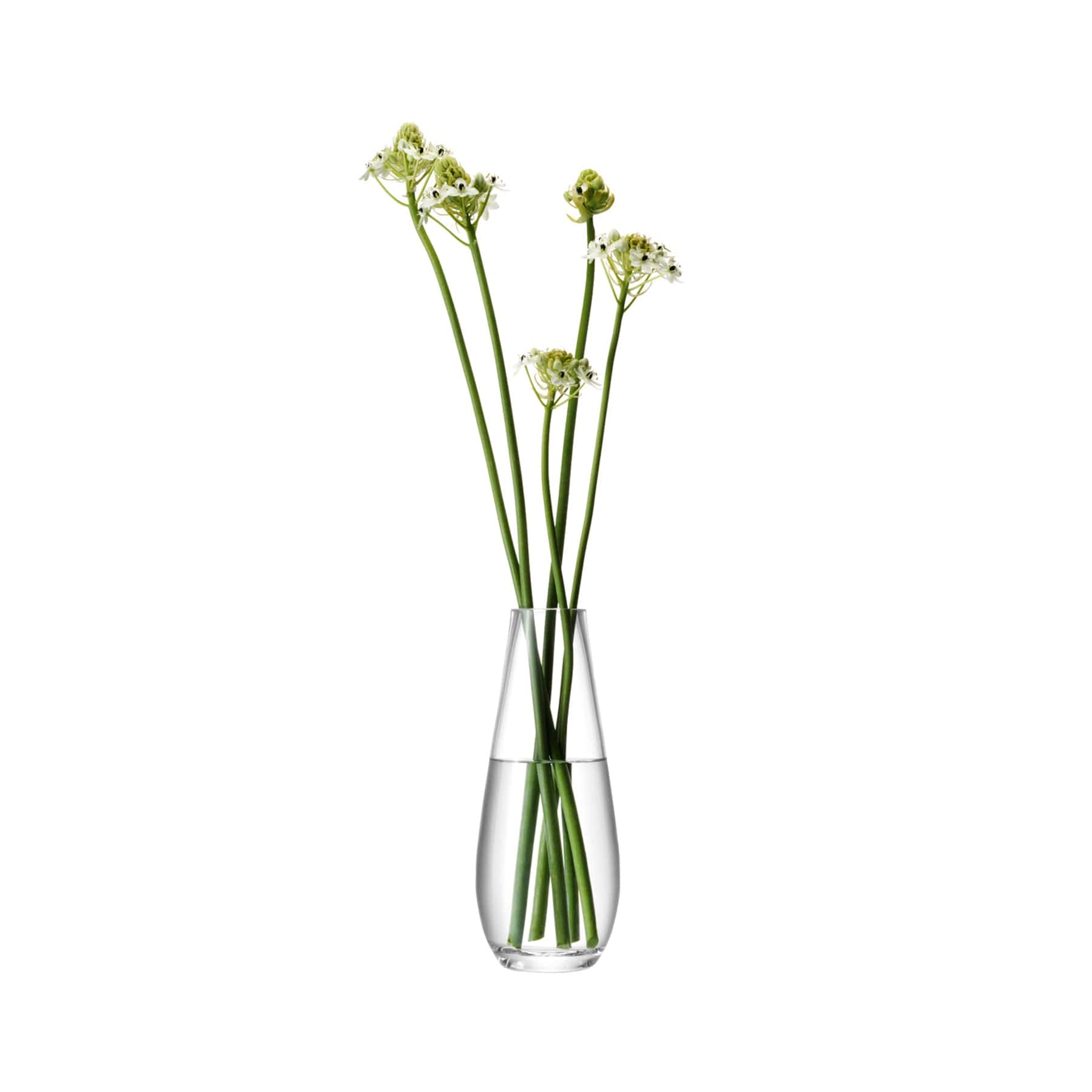 Flower tall stem vase H29cm clear