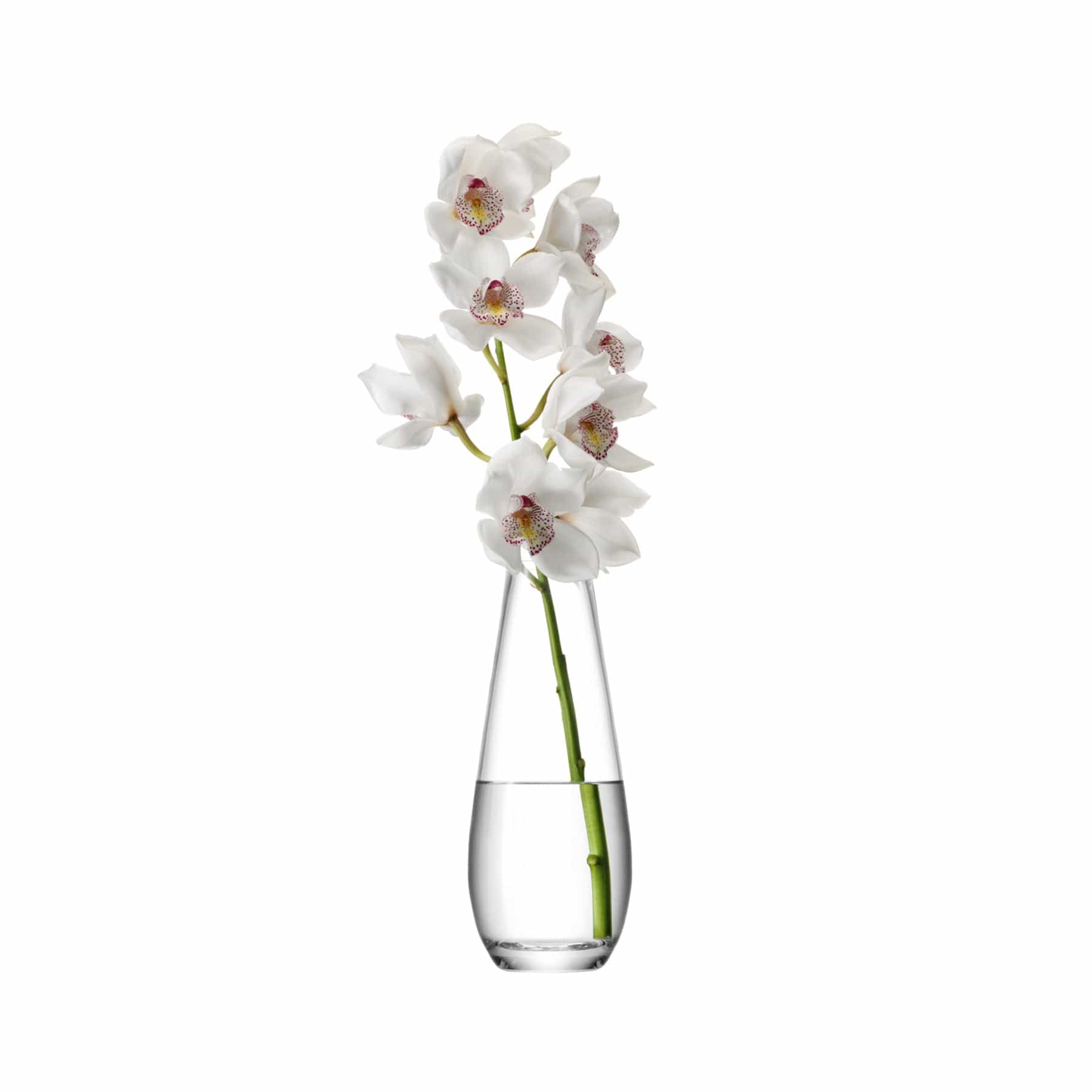 Flower tall stem vase H29cm clear