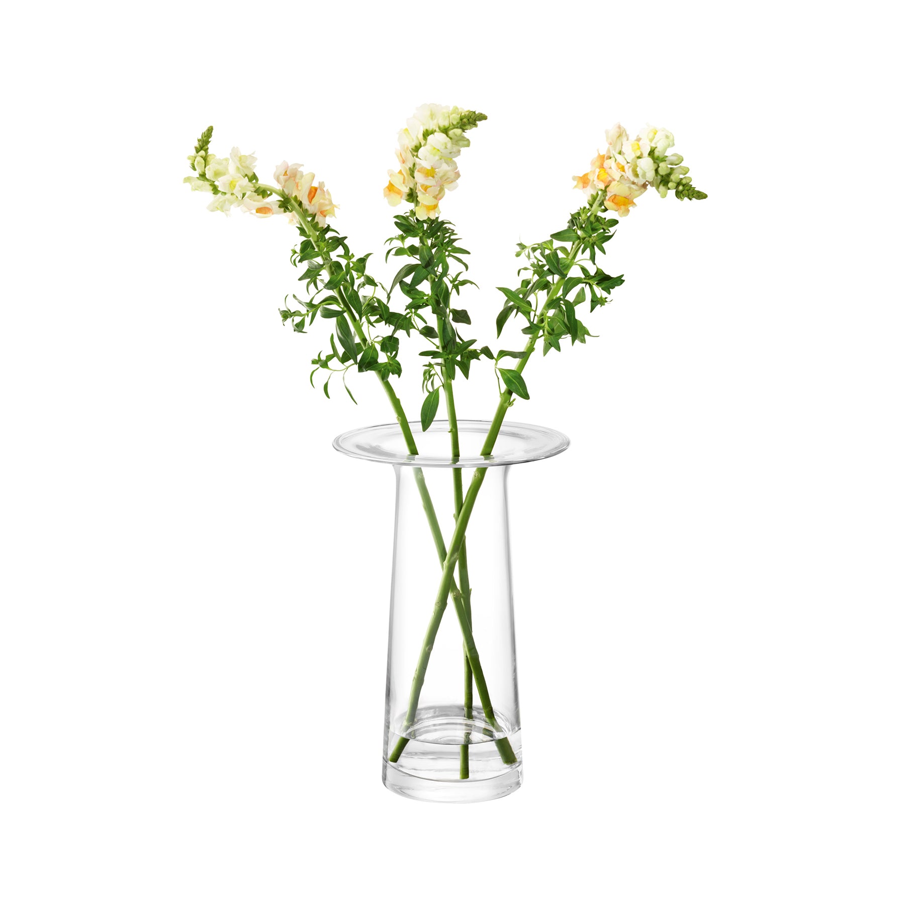 Victoria vase H36cm clear
