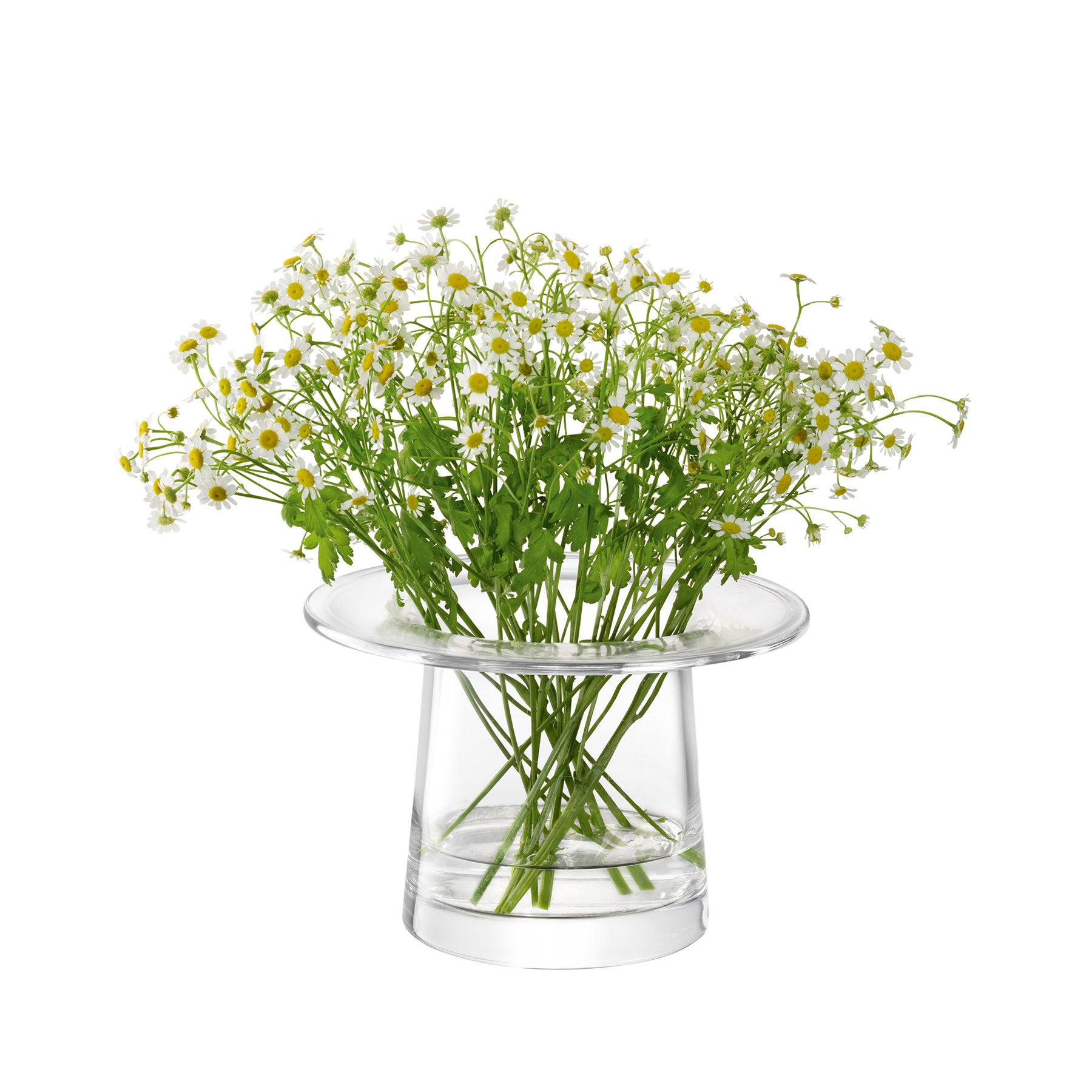 Victoria vase/lantern H13.5cm clear