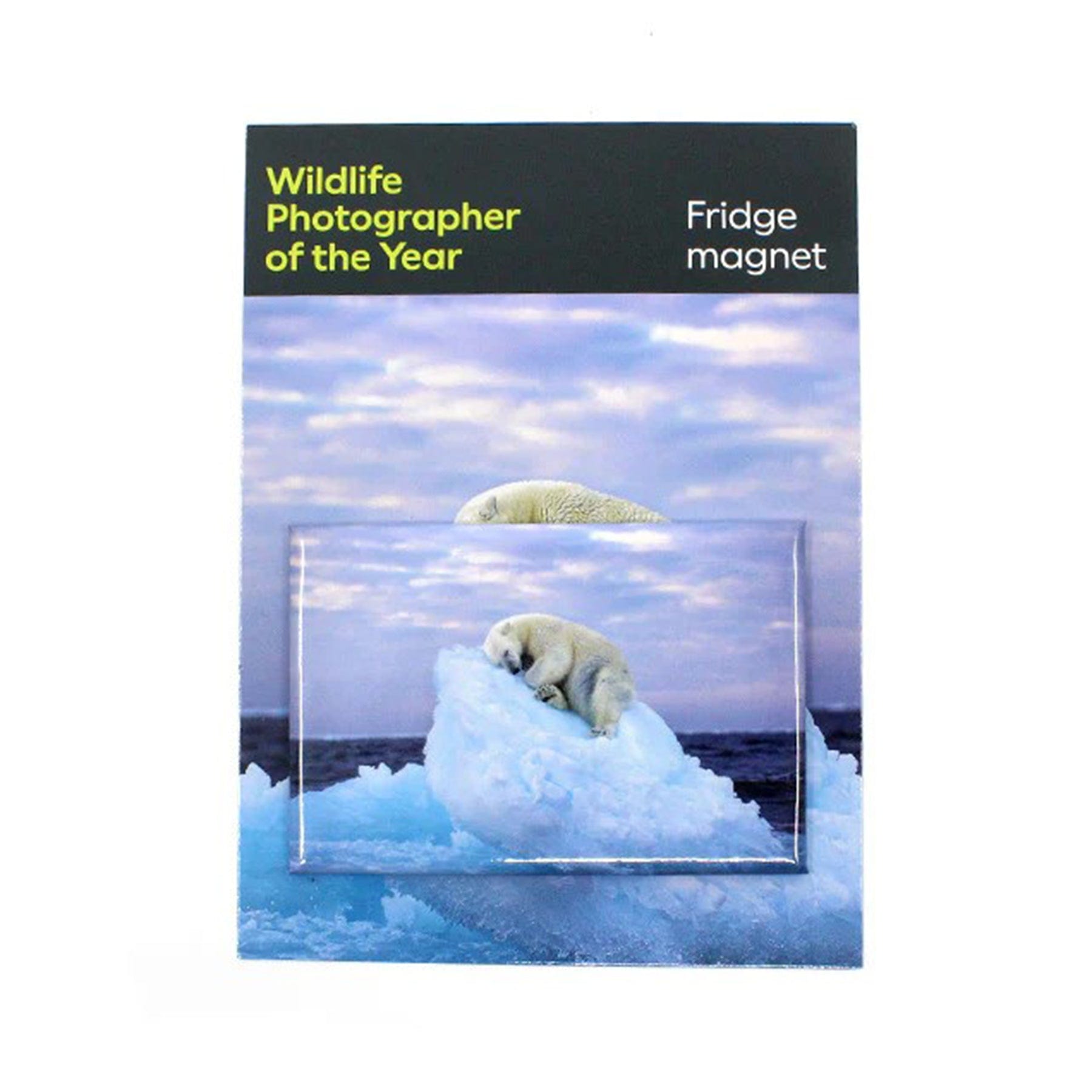 Fridge magnet ice-bed