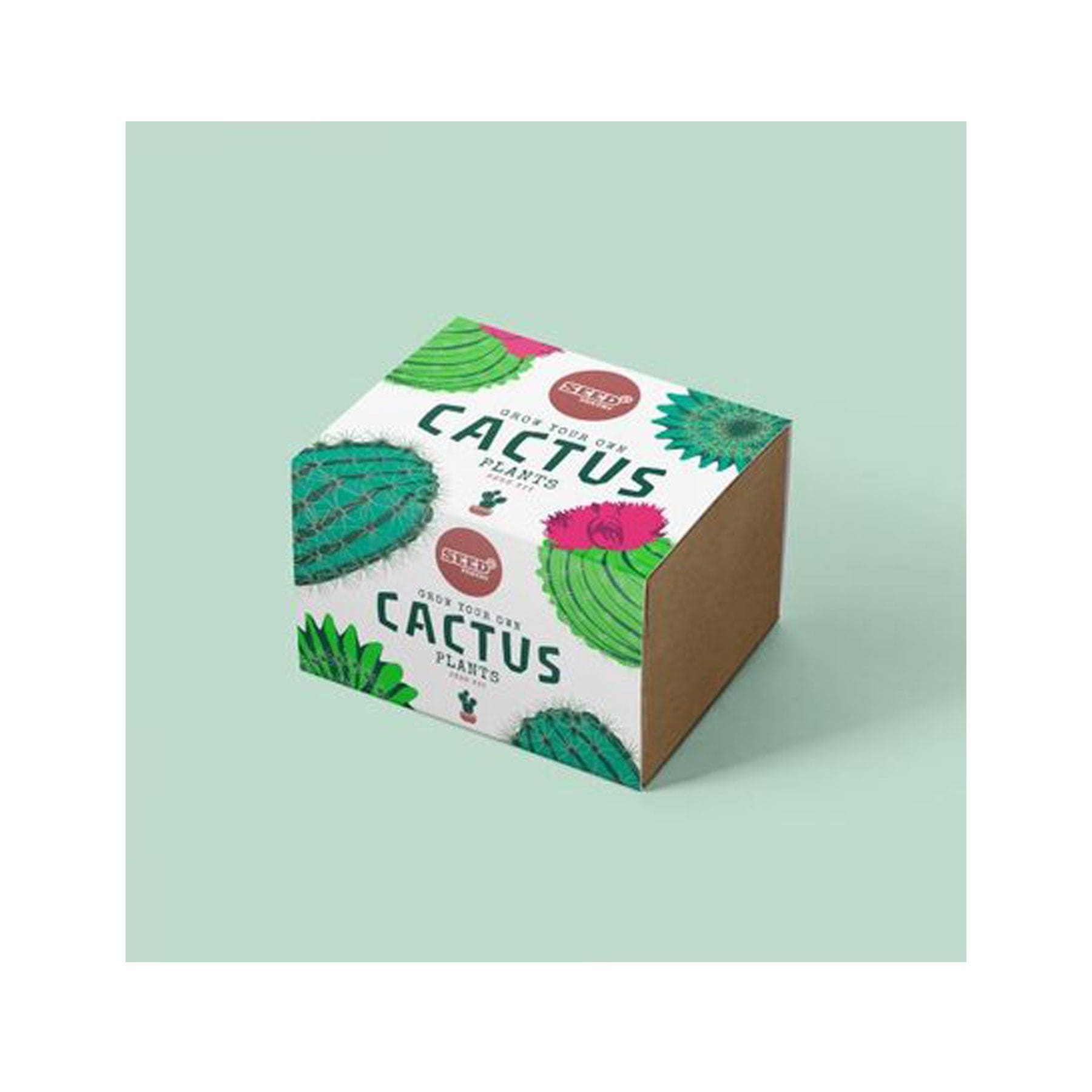 Cactus mix seed kit