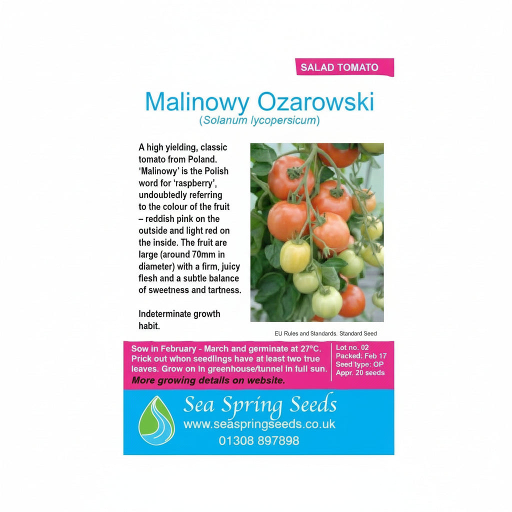 Malinowy ozarowski tomato seeds