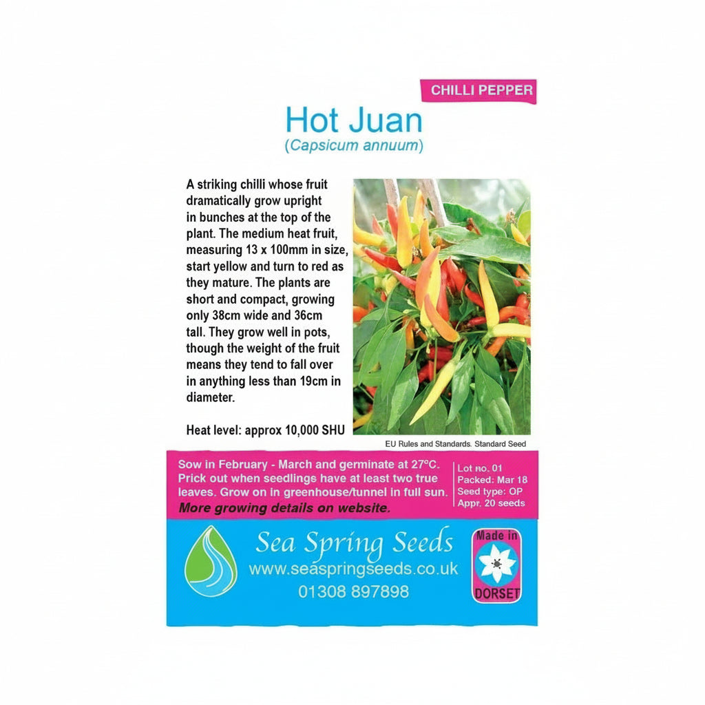 Hot juan chilli seeds