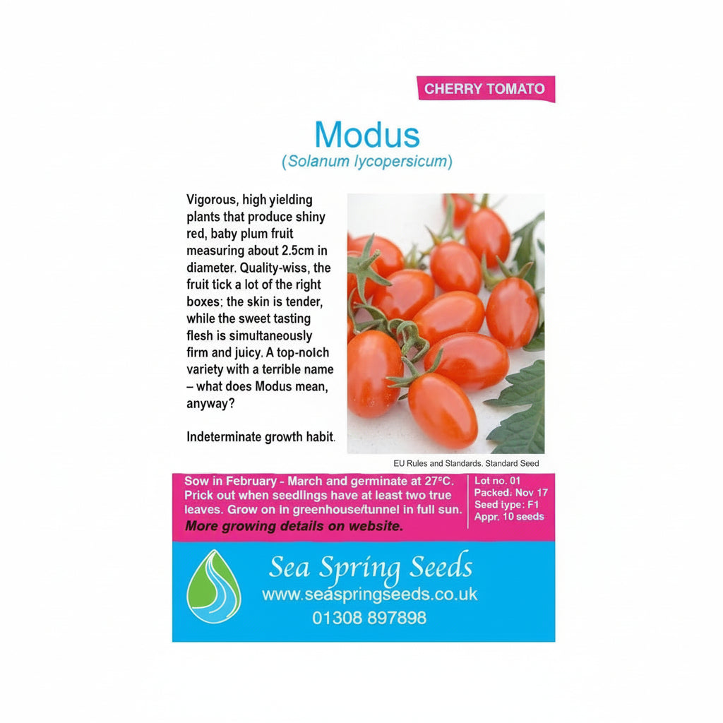 Modus tomato seeds