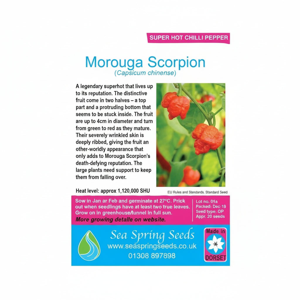 Moruga scorpion chilli seeds