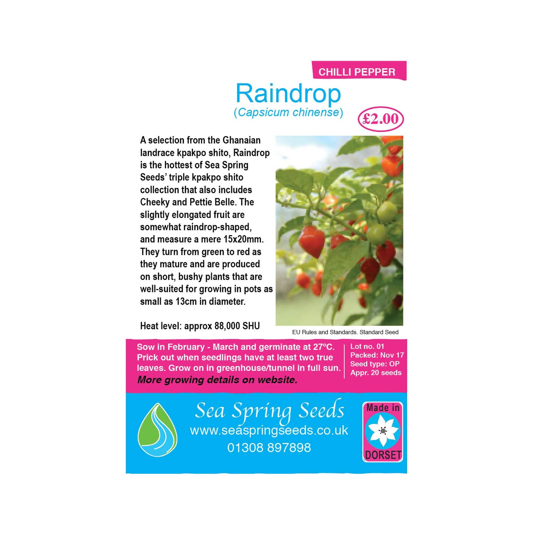 Raindrop chilli seeds