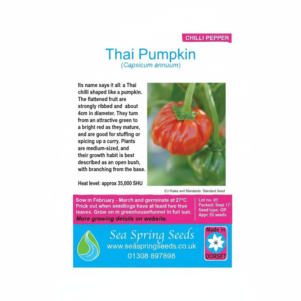 Thai pumpkin chilli seeds