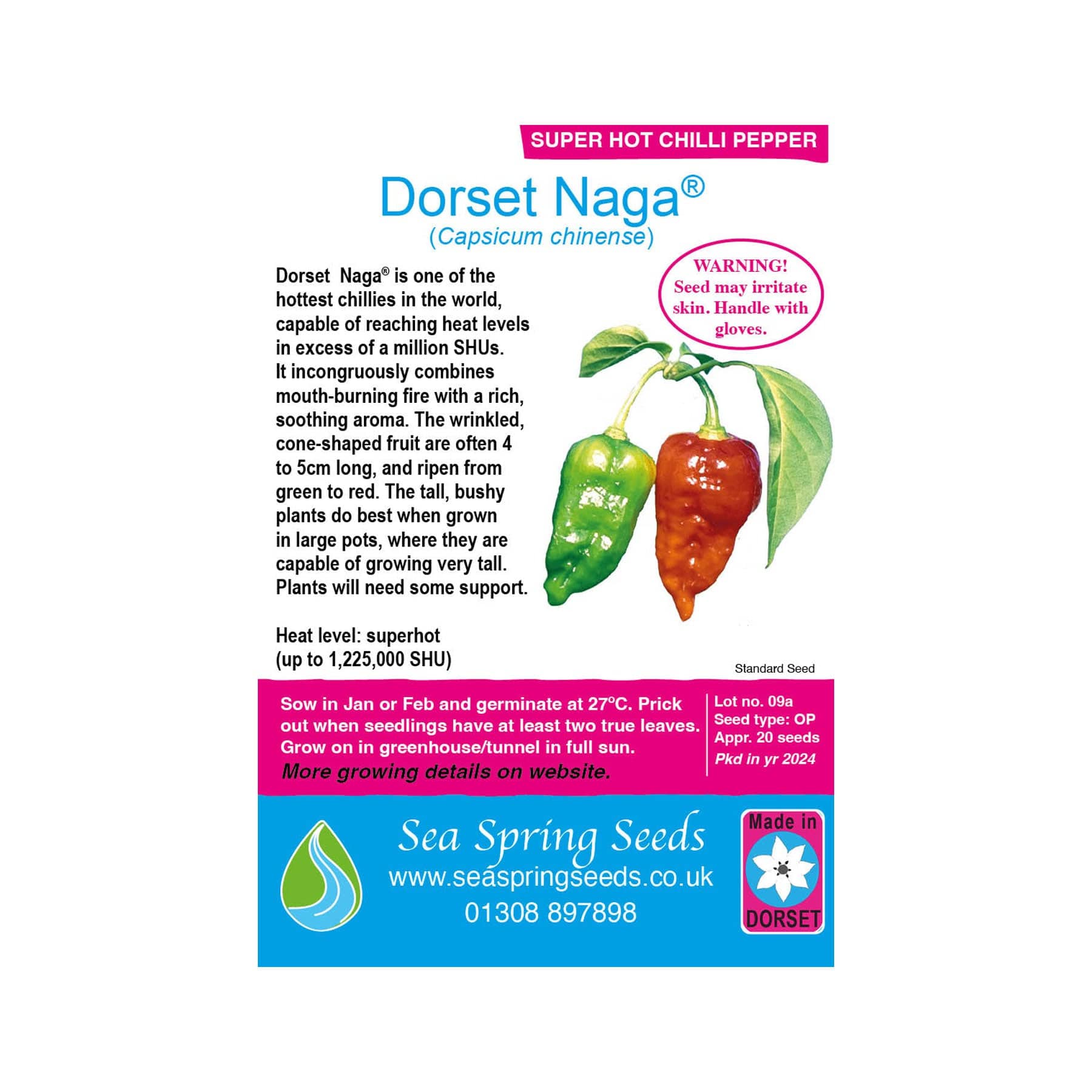 Dorset naga chilli seeds