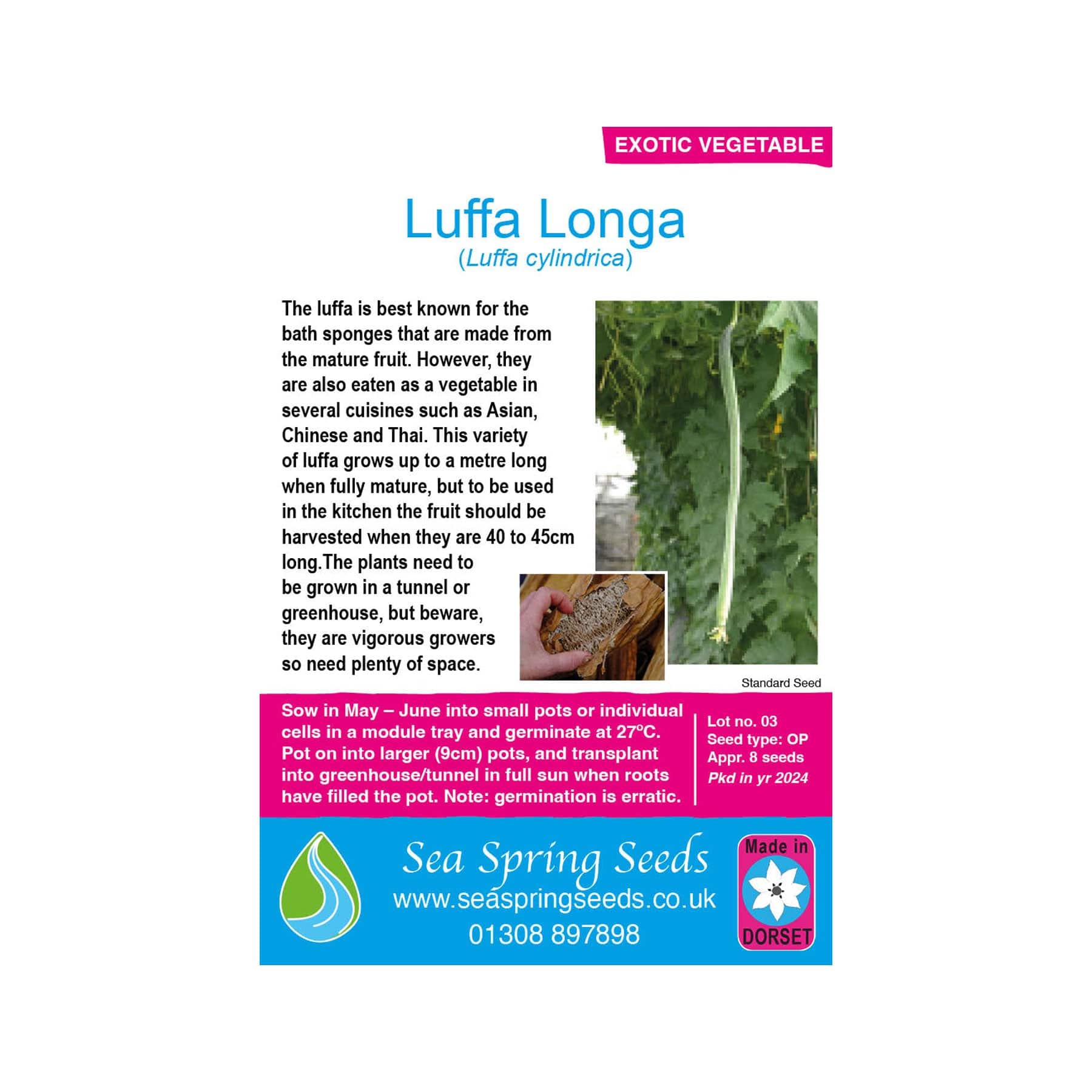 Luffa longa seeds