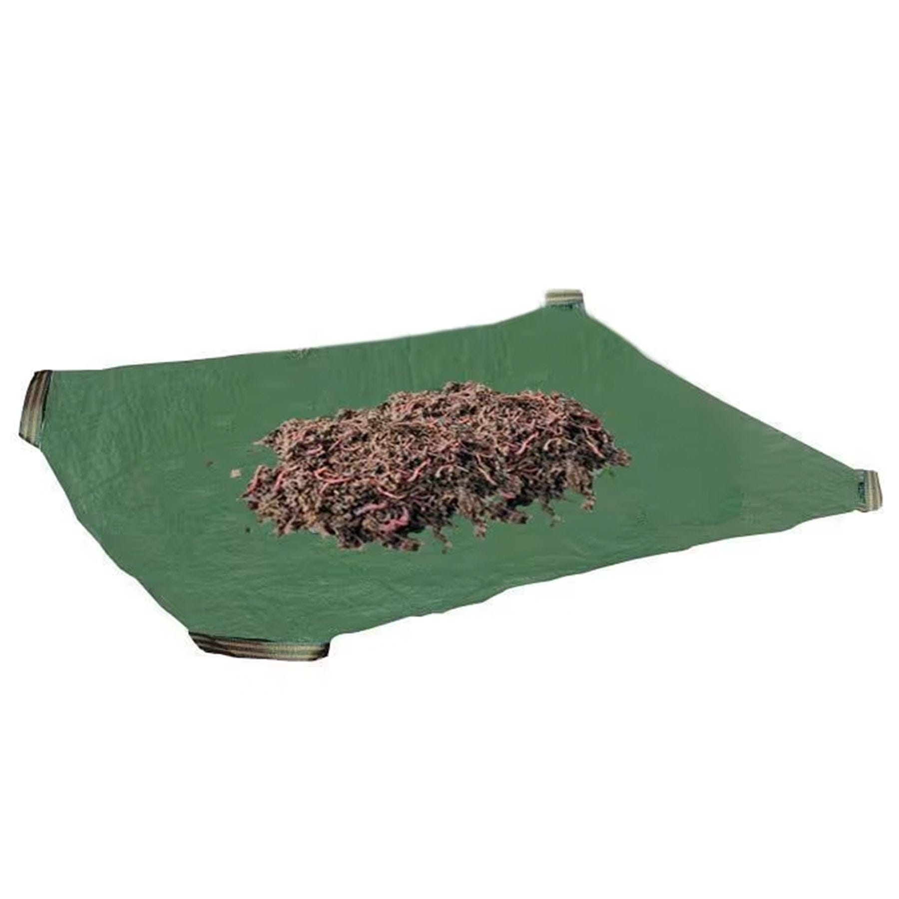 Black tiger wormery - 3 tray