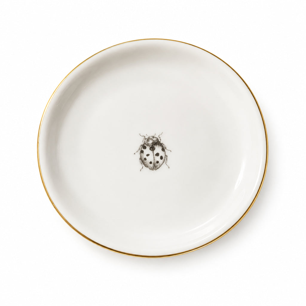 Trinket dish ladybird