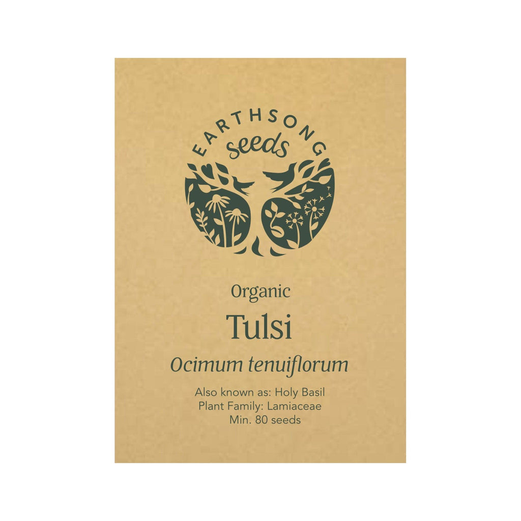 indian tulsi plant seeds Tulsi seed pack