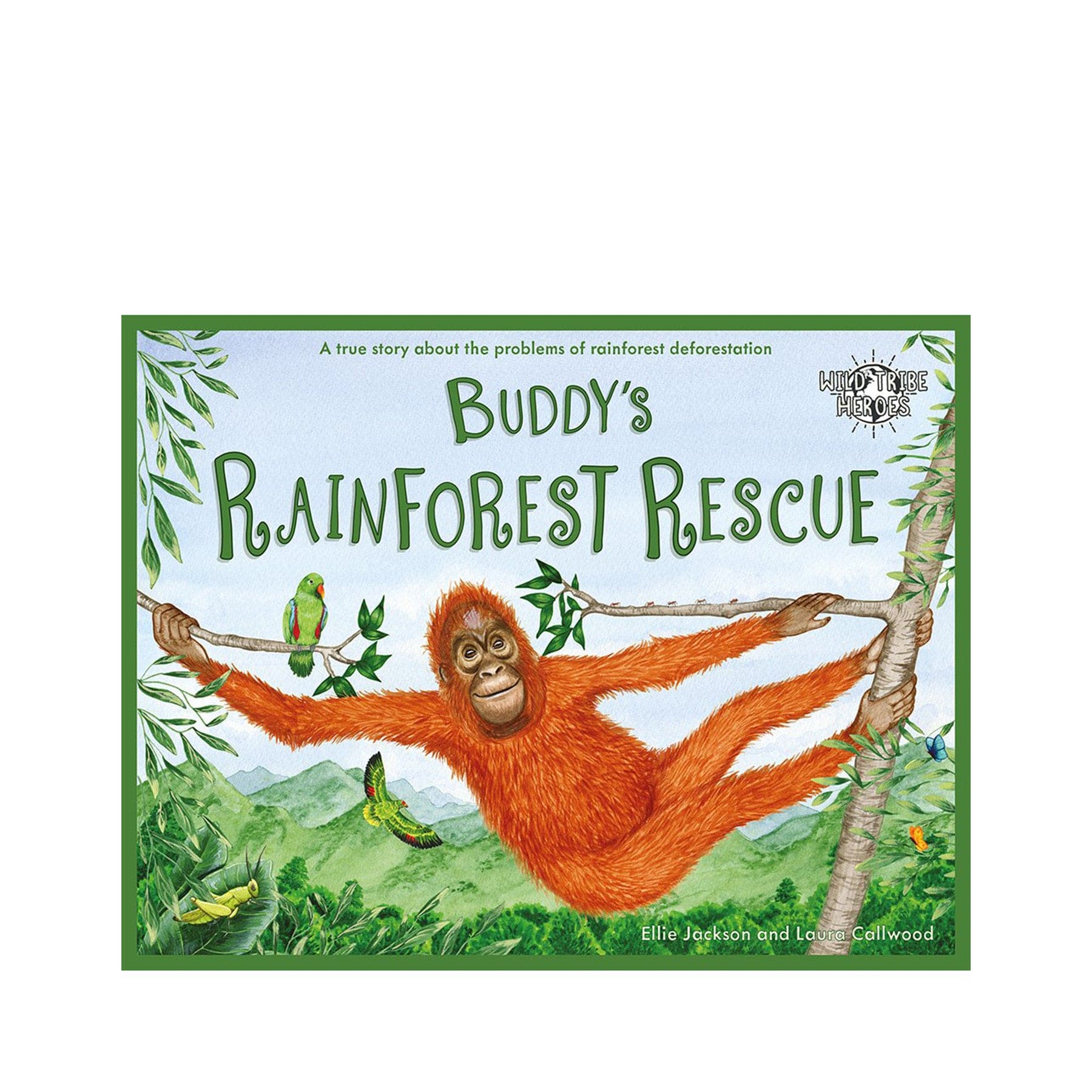 Buddy's rainforest rescue