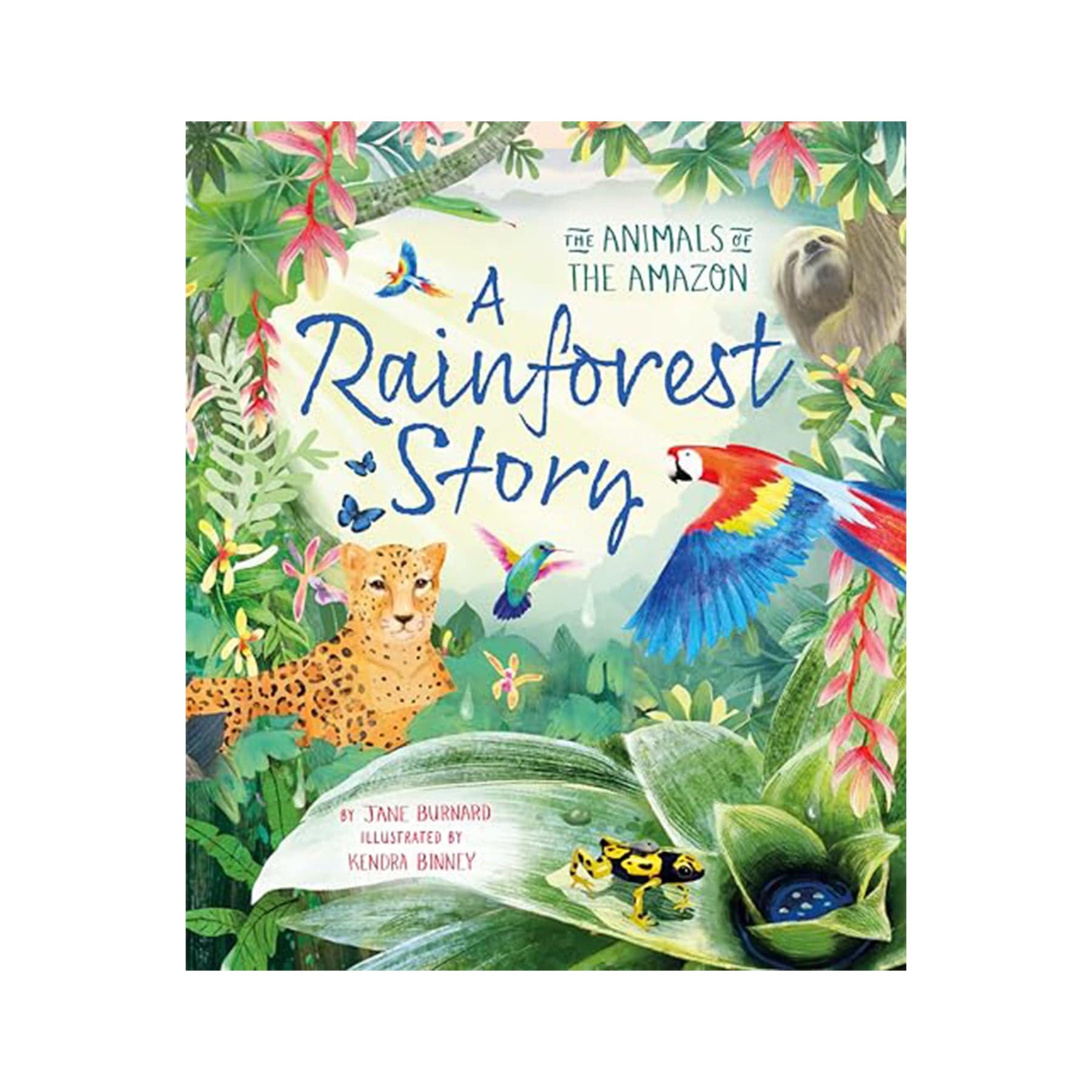 A rainforest story