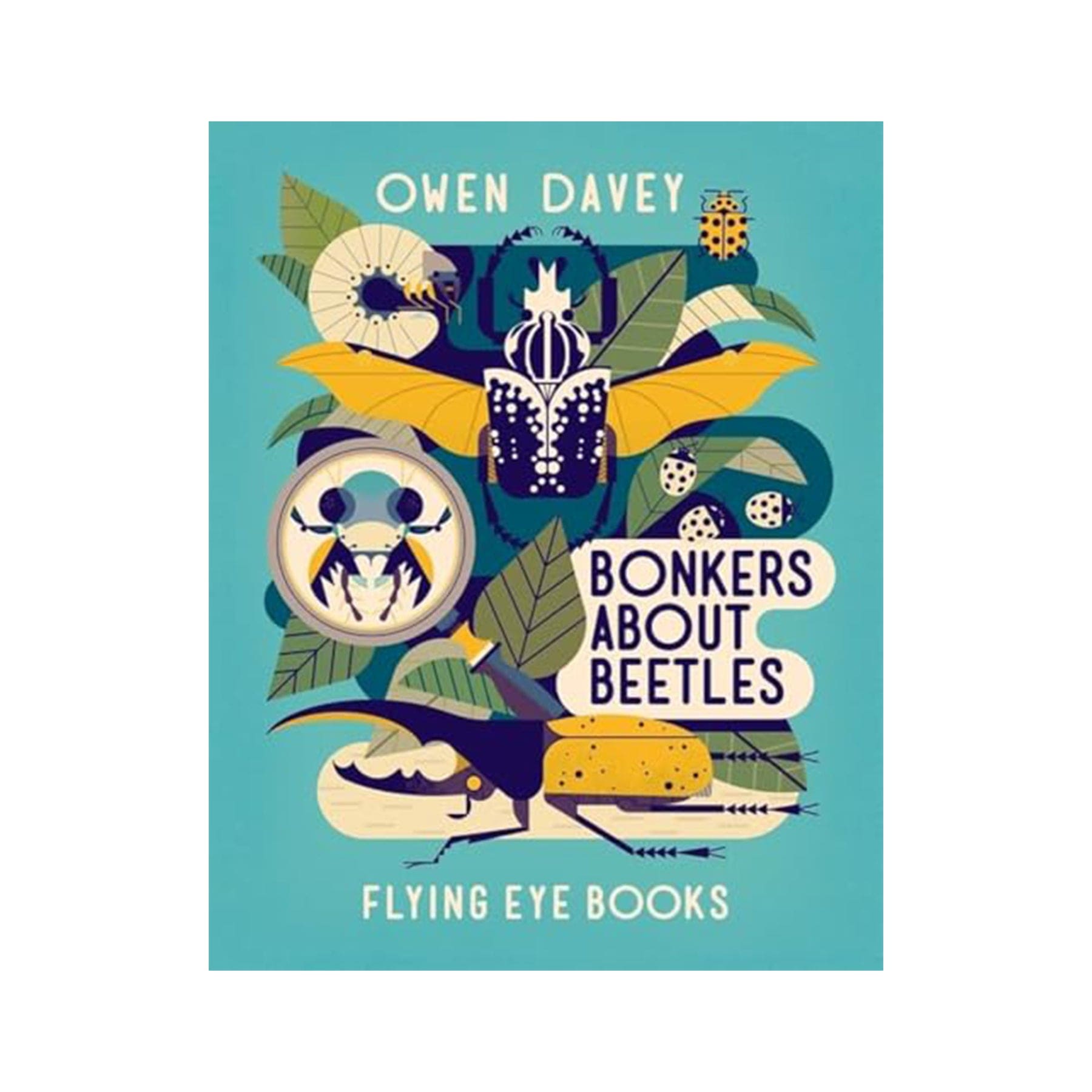 Bonkers about beetles