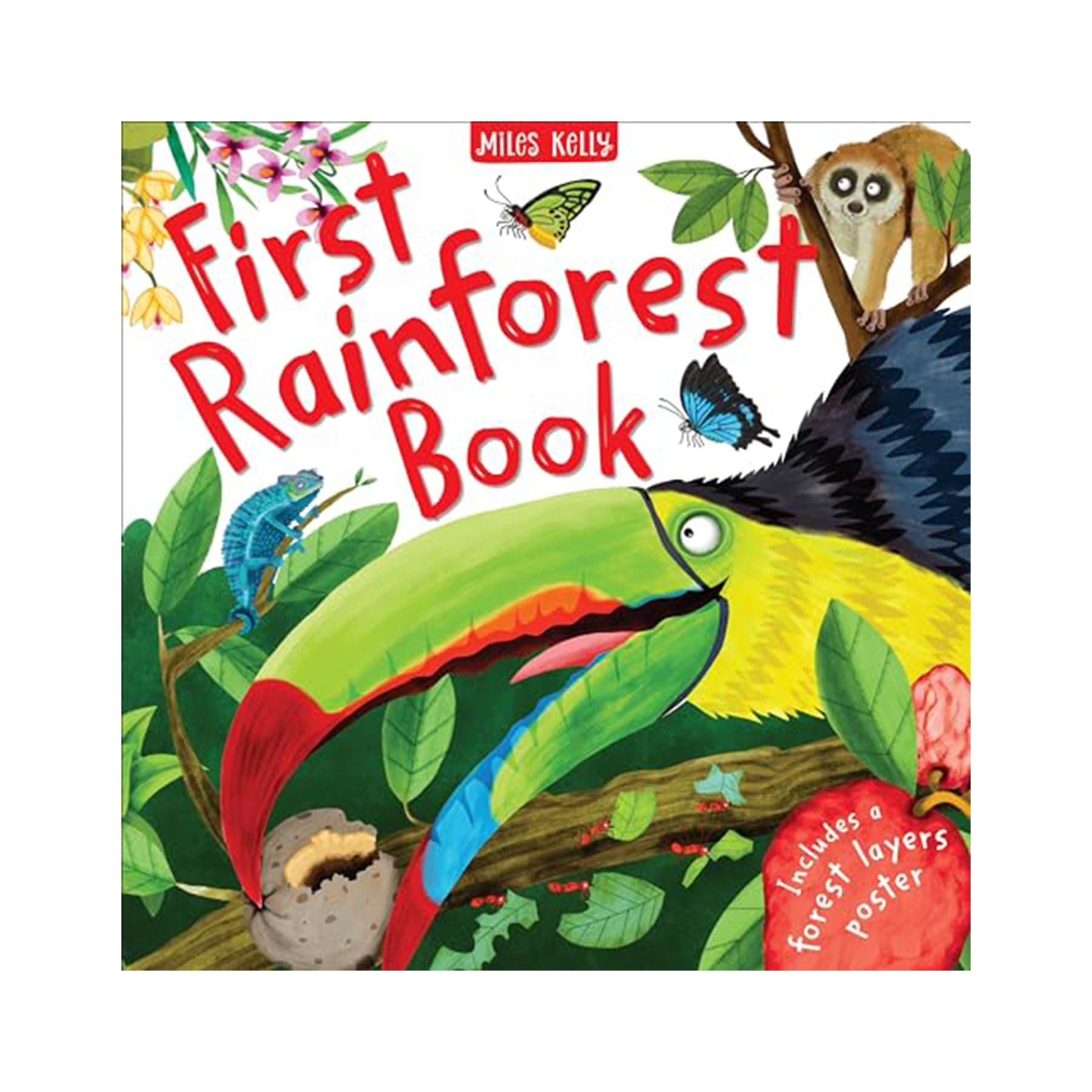 First rainforest book