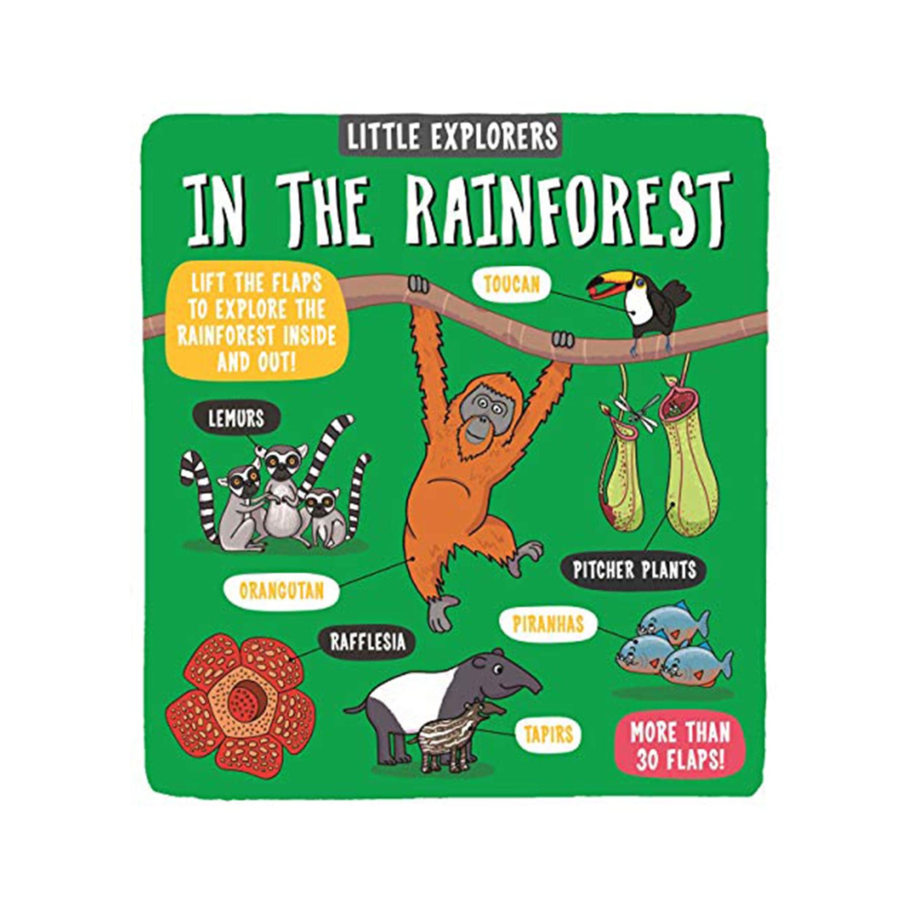 Little explorers: in the rainforest