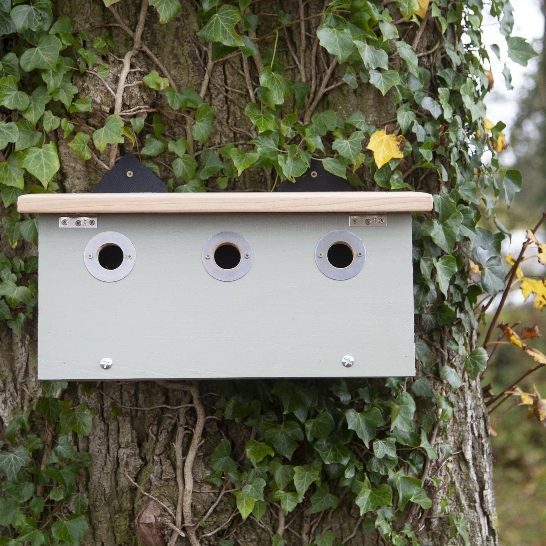 Conservation sparrow nest box