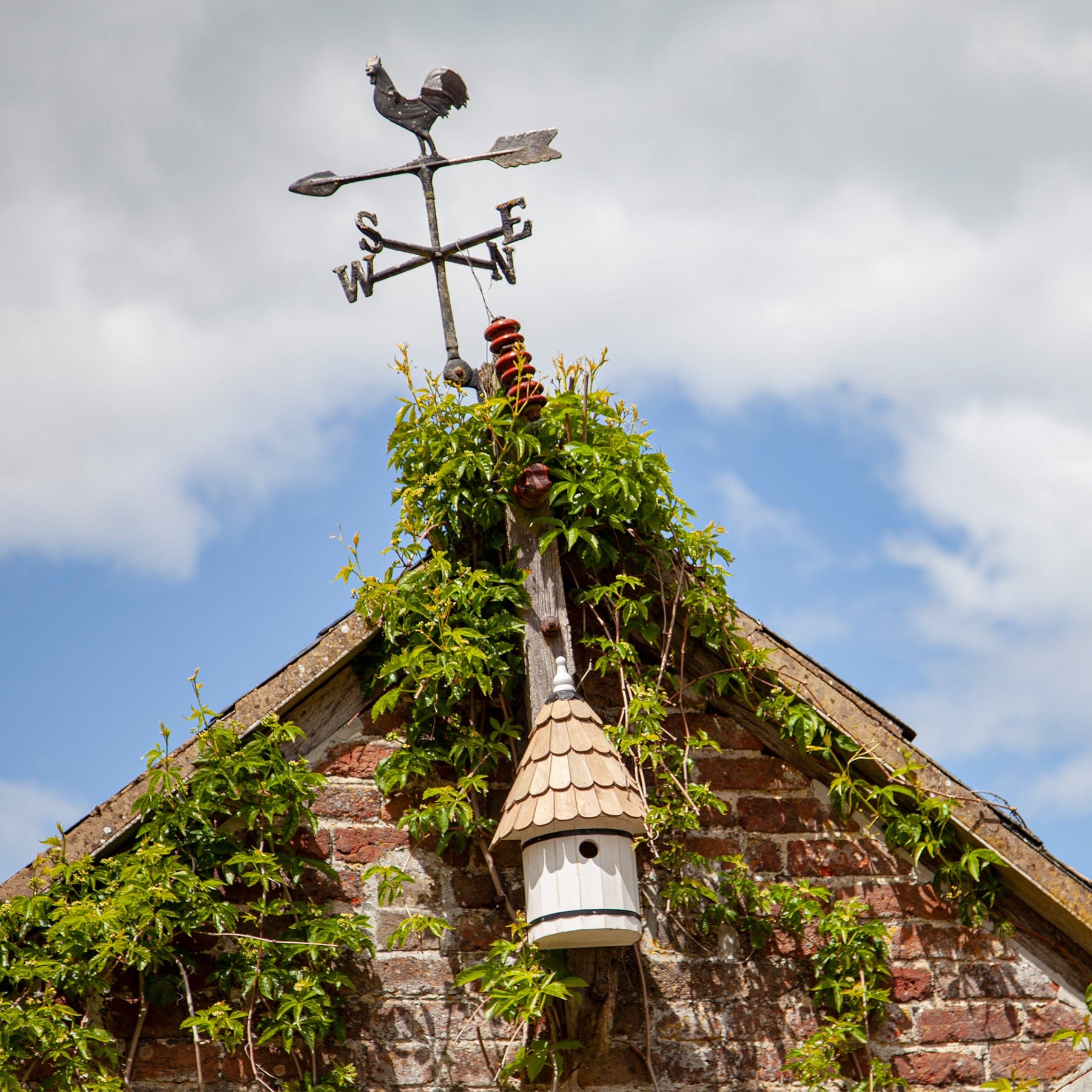 Dovecote nest box