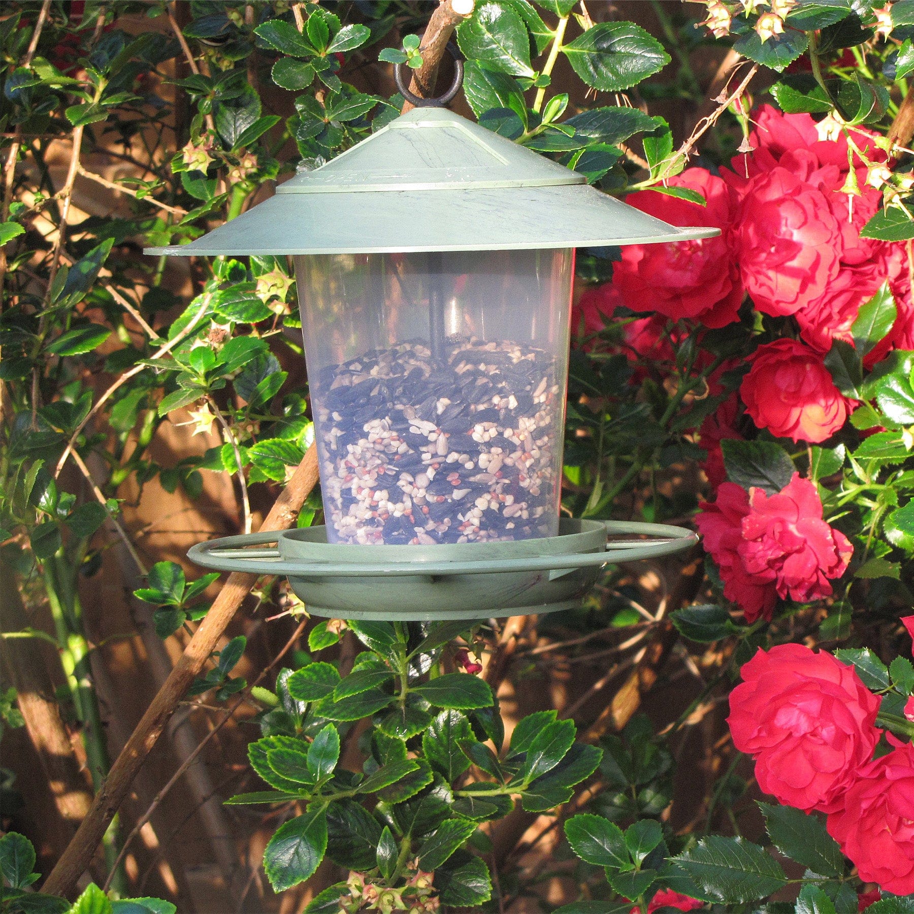 Eco beacon bird feeder